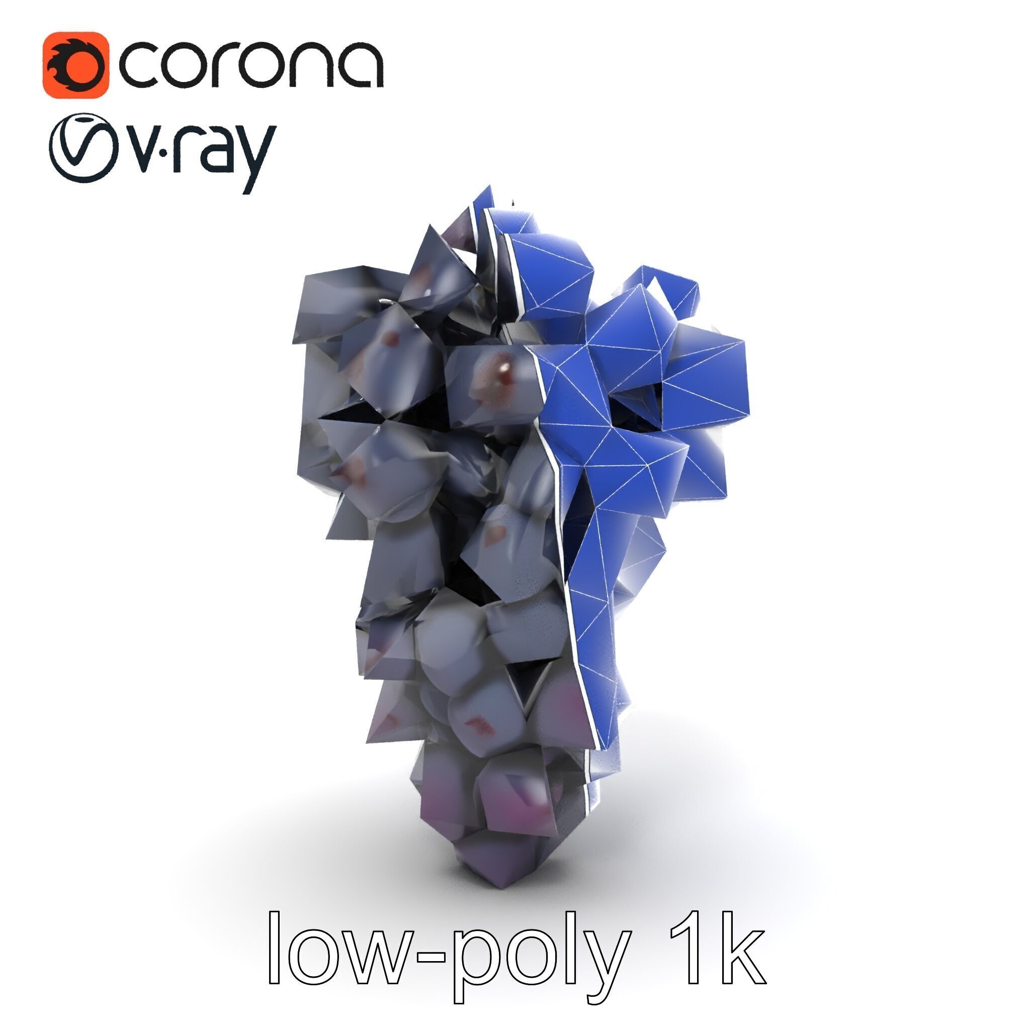 Elegant Black Grape Bunch model pack Low-poly 3D model_17