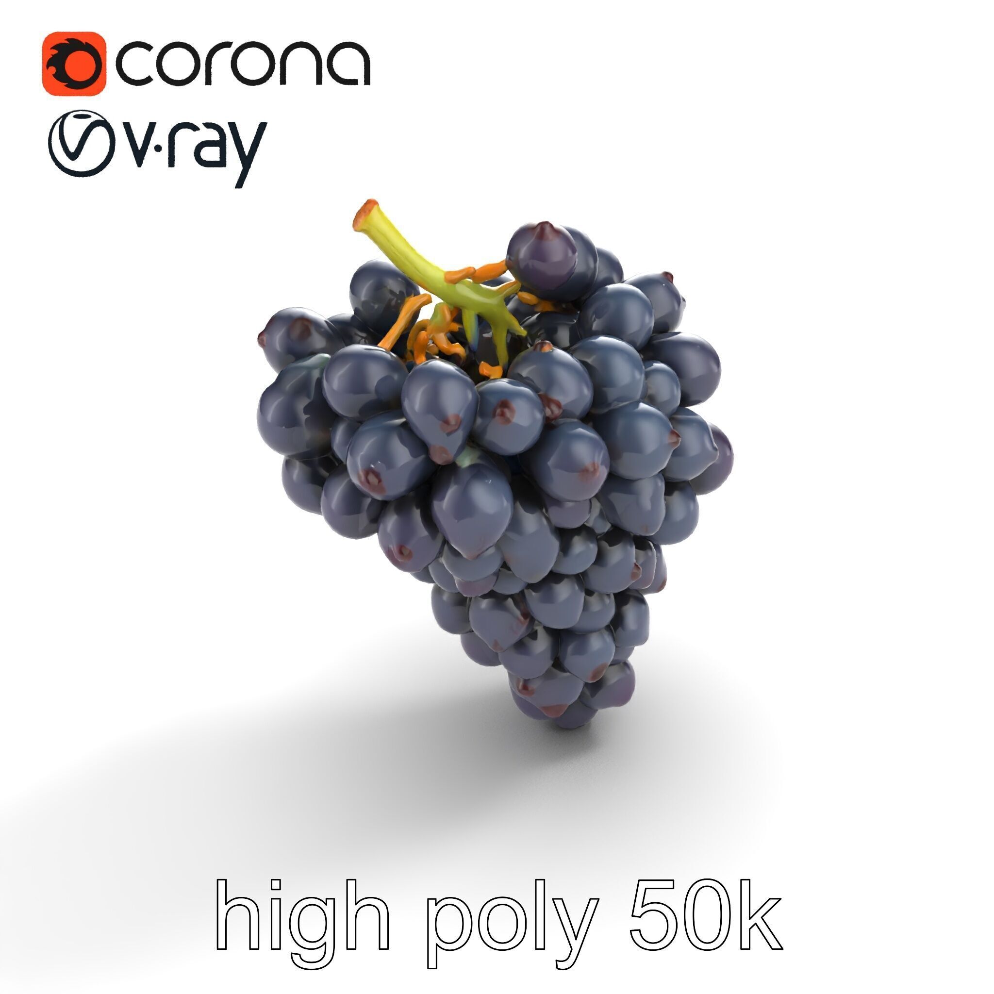 Elegant Black Grape Bunch model pack Low-poly 3D model_27