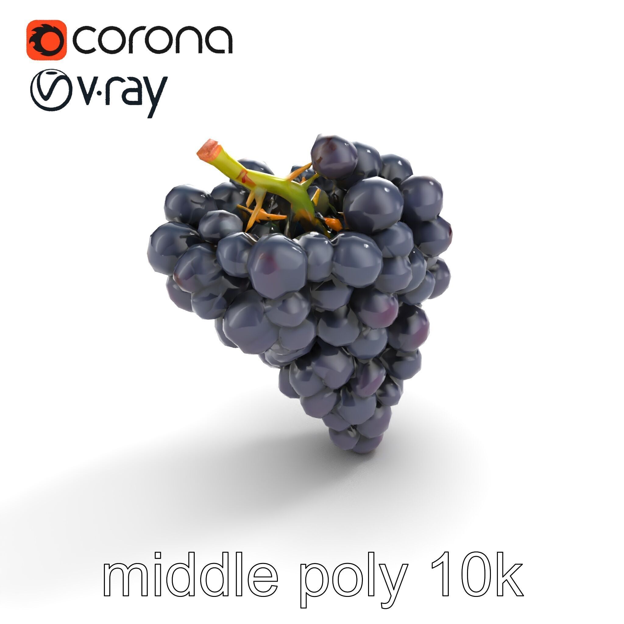 Elegant Black Grape Bunch model pack Low-poly 3D model_8