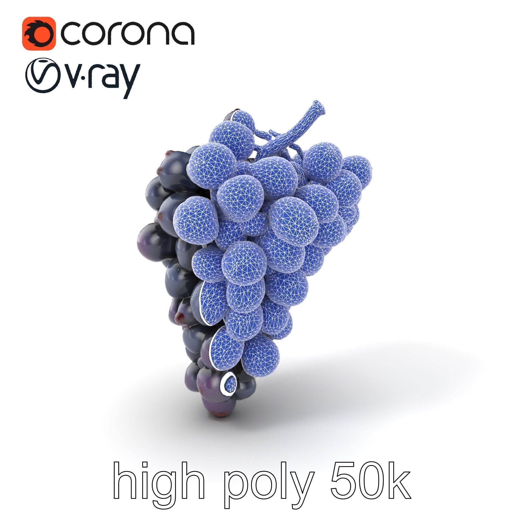 Elegant Black Grape Bunch model pack Low-poly 3D model_10