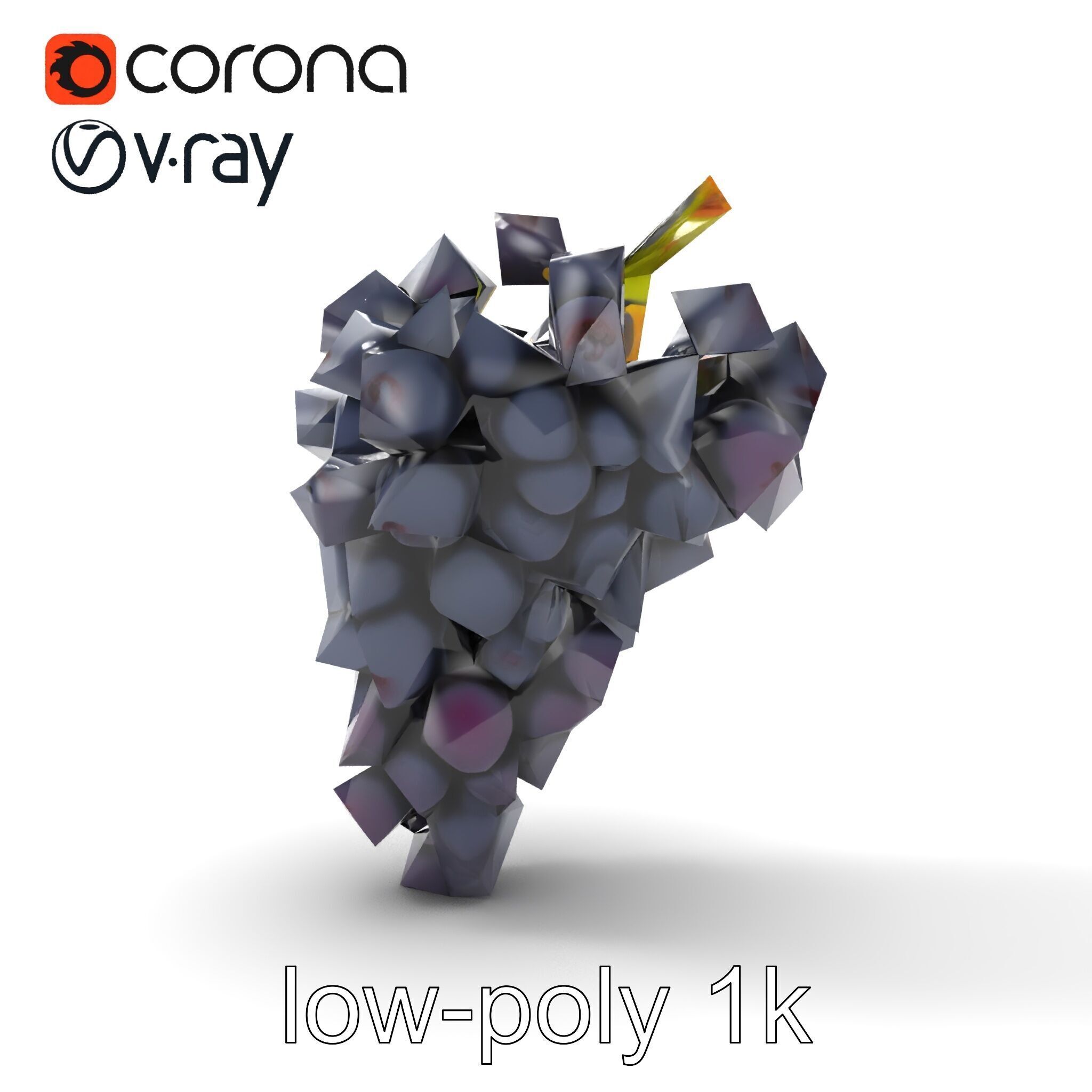 Elegant Black Grape Bunch model pack Low-poly 3D model_19