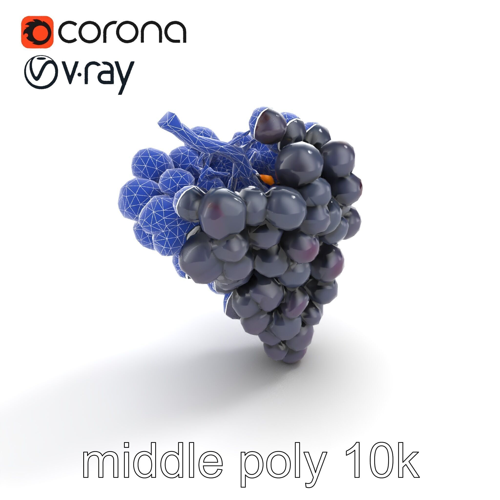 Elegant Black Grape Bunch model pack Low-poly 3D model_11