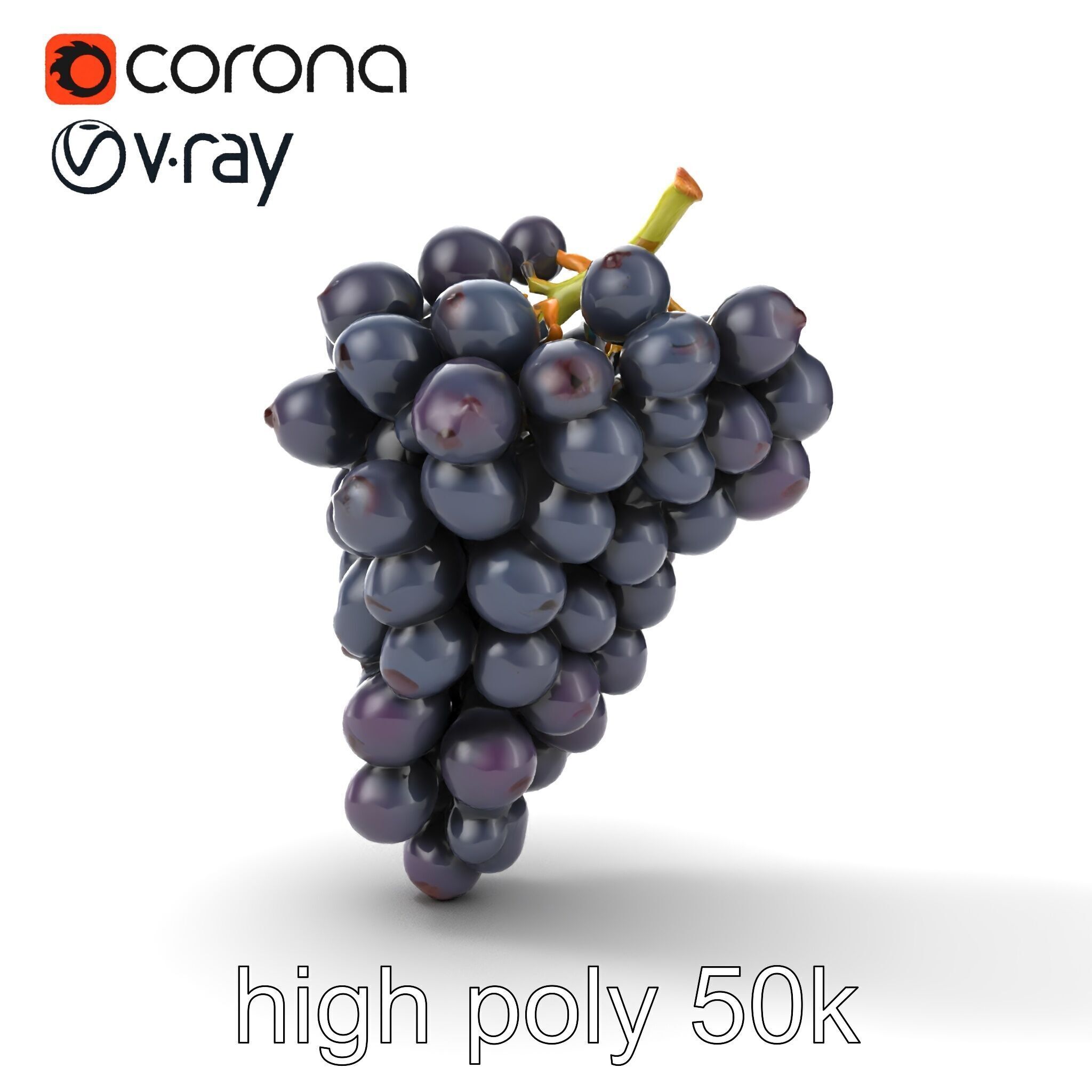 Elegant Black Grape Bunch model pack Low-poly 3D model_15