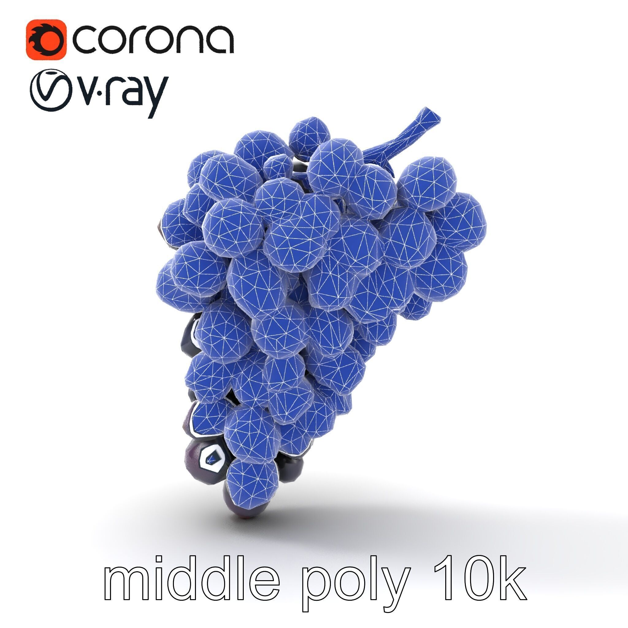 Elegant Black Grape Bunch model pack Low-poly 3D model_24