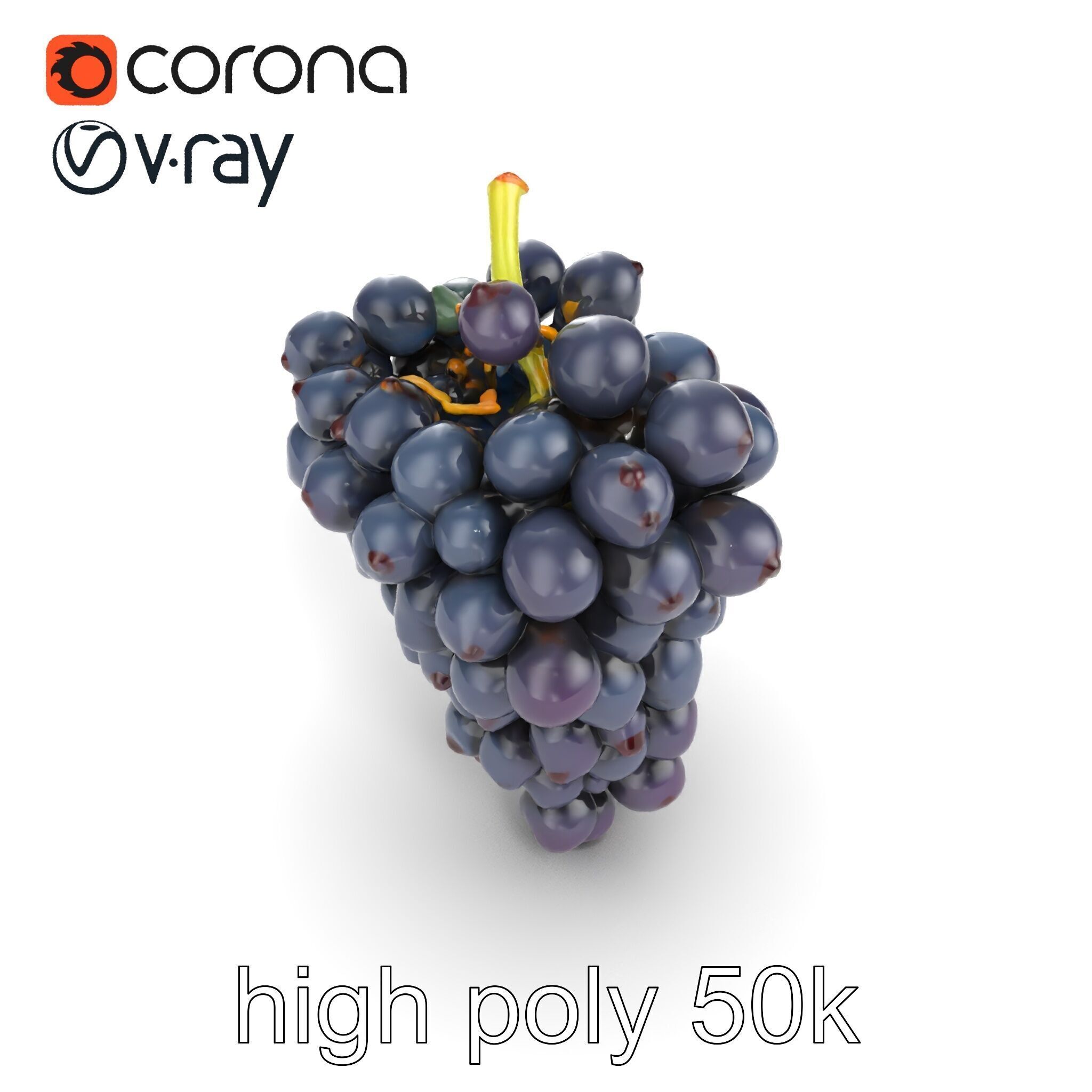 Elegant Black Grape Bunch model pack Low-poly 3D model_26