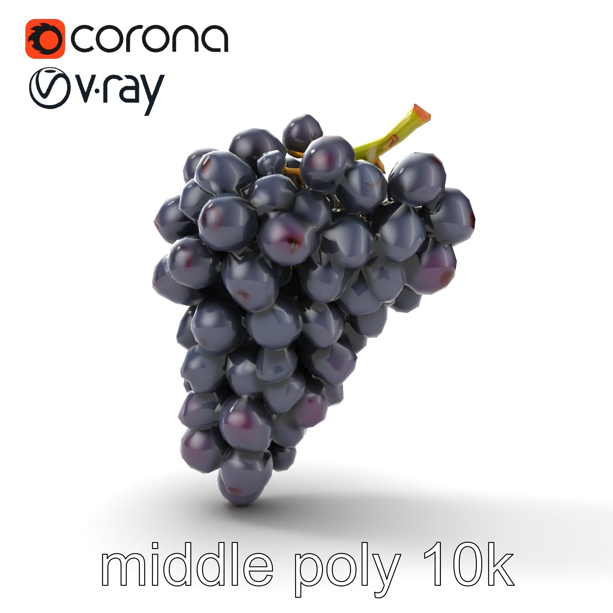 Elegant Black Grape Bunch model pack Low-poly 3D model_13