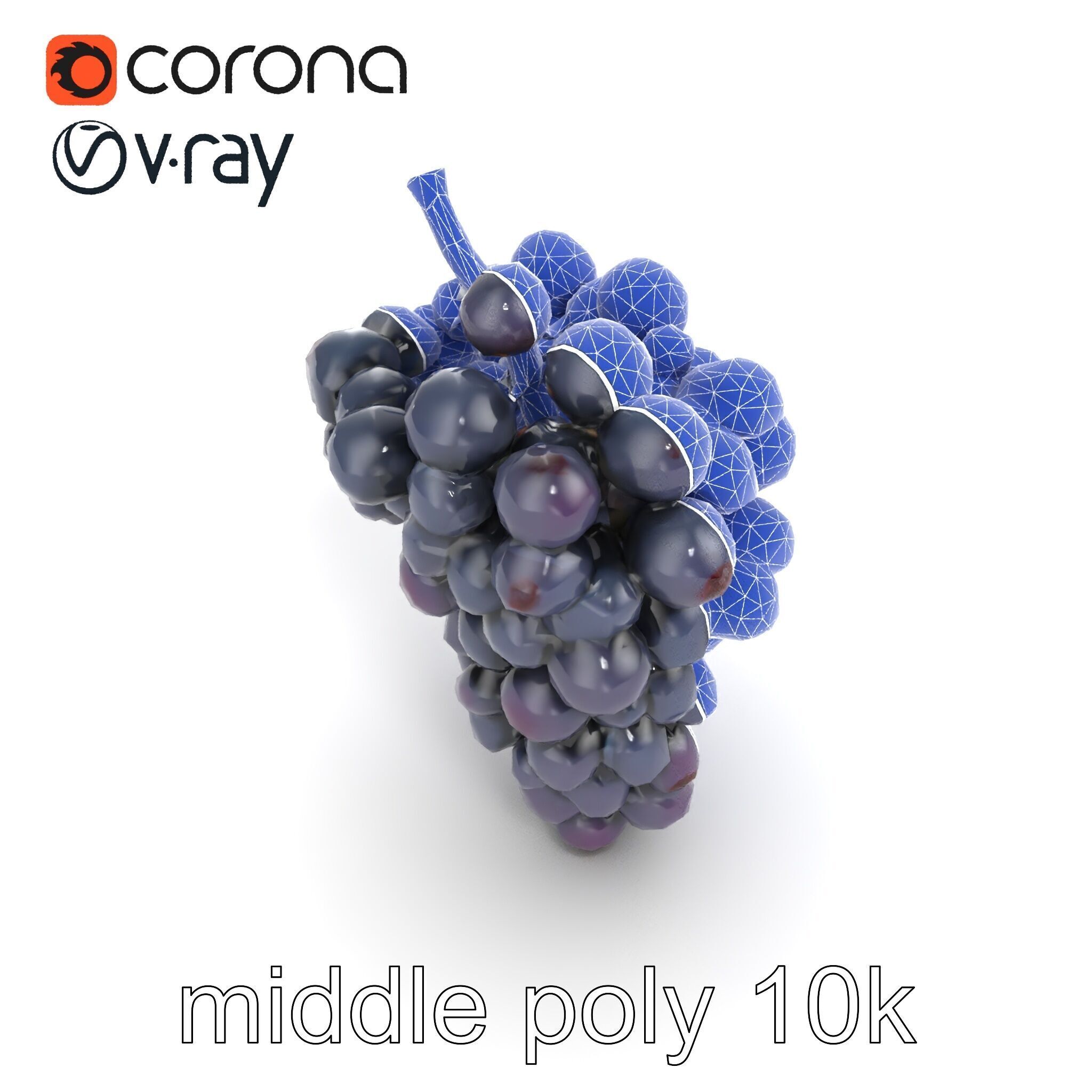 Elegant Black Grape Bunch model pack Low-poly 3D model_18