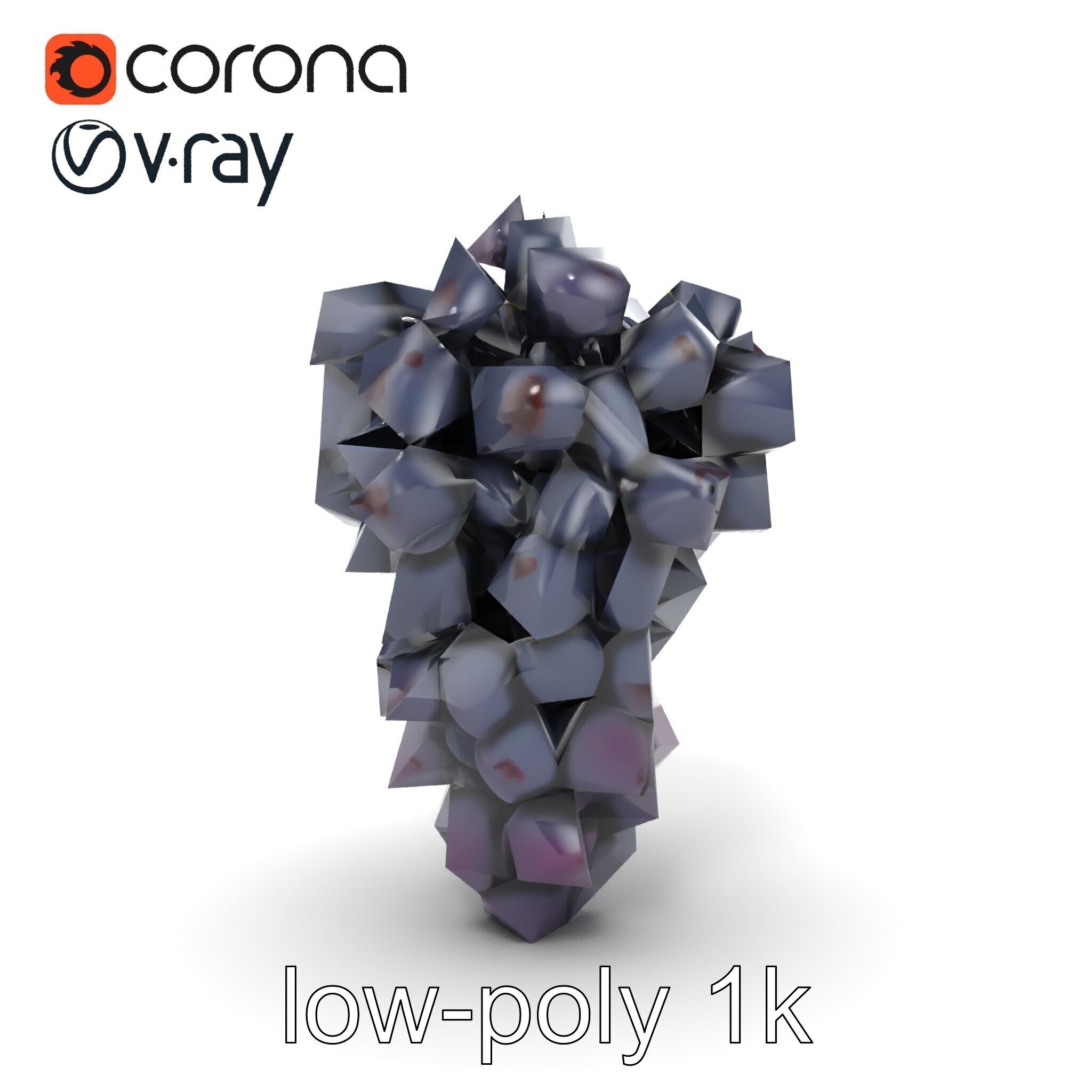 Elegant Black Grape Bunch model pack Low-poly 3D model_20