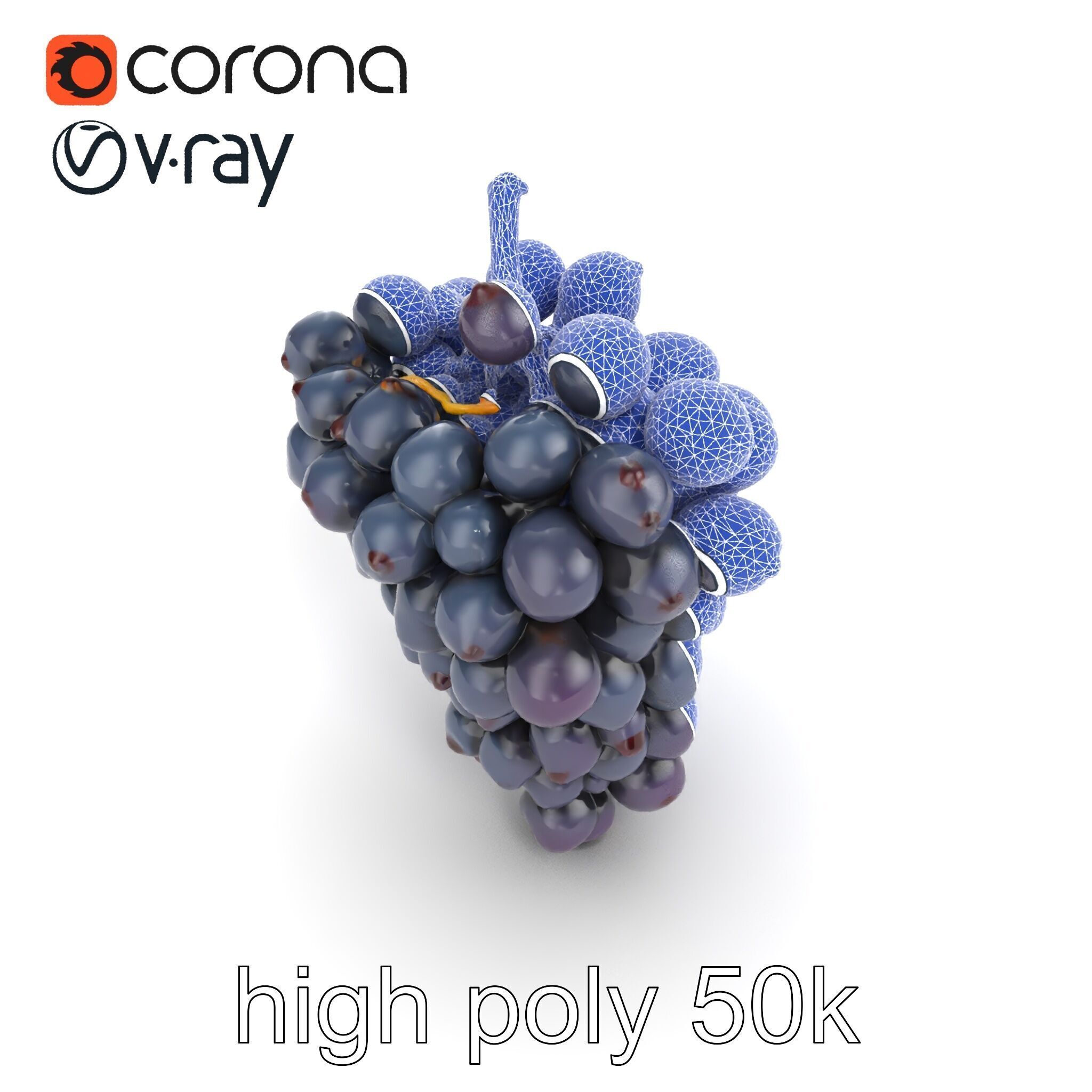 Elegant Black Grape Bunch model pack Low-poly 3D model_32