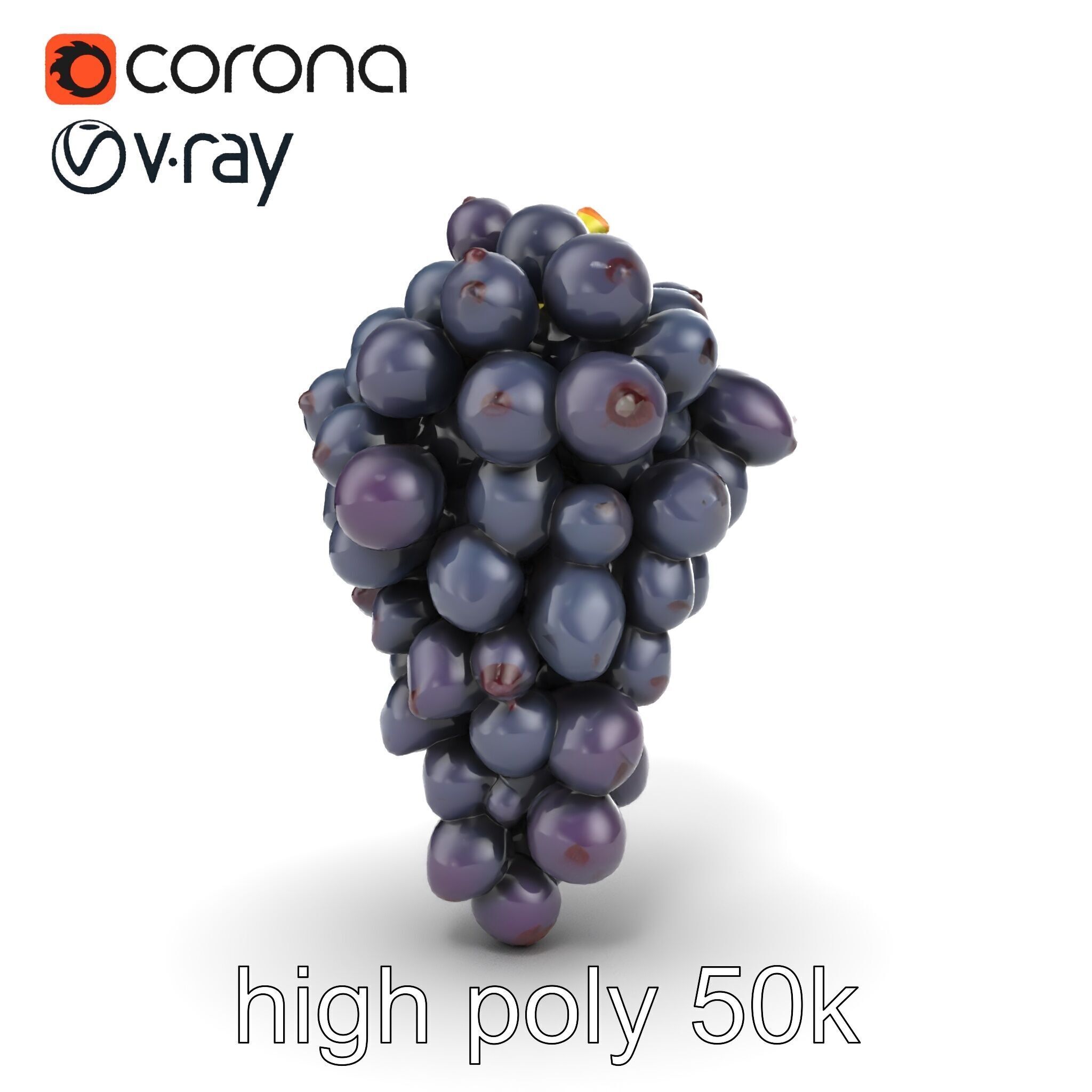Elegant Black Grape Bunch model pack Low-poly 3D model_28