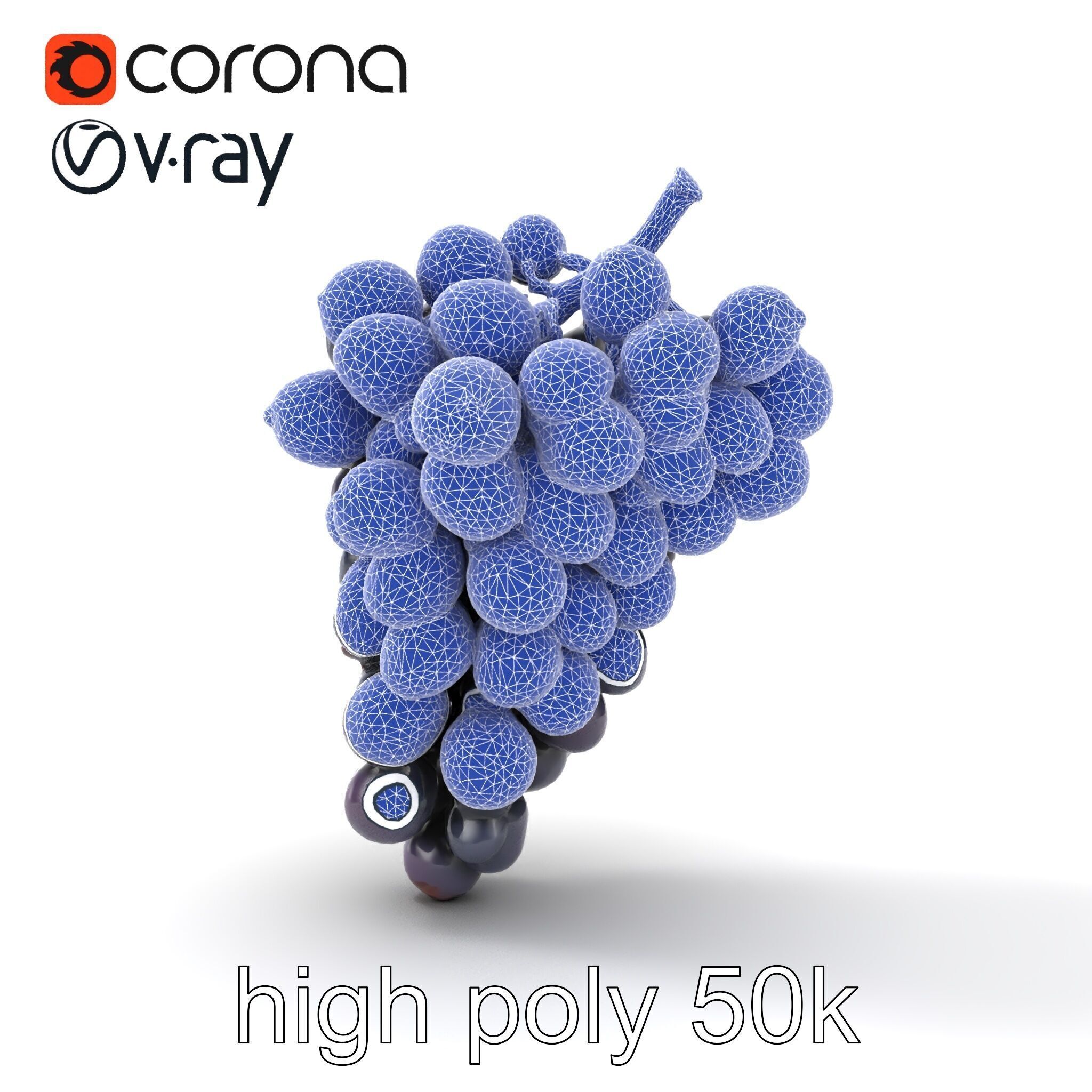 Elegant Black Grape Bunch model pack Low-poly 3D model_25