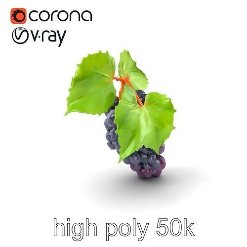 Realistic Grape Bunch with Leaves model pack Low-poly 3D model 2
