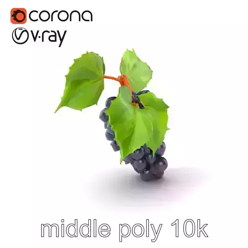Realistic Grape Bunch with Leaves model pack