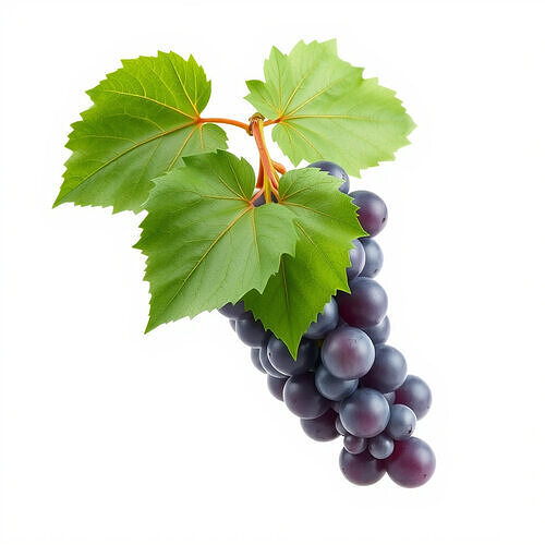 Realistic Grape Bunch with Leaves model pack Low-poly 3D model 4
