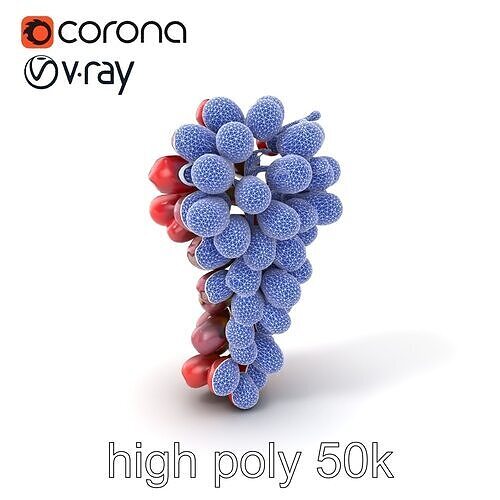 Realistic Red Grape Bunch 3D model pack Low-poly 3D model 2