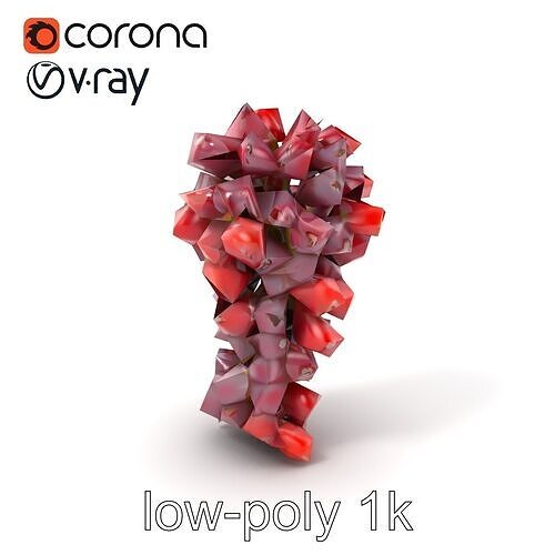 Realistic Red Grape Bunch 3D model pack Low-poly 3D model 5
