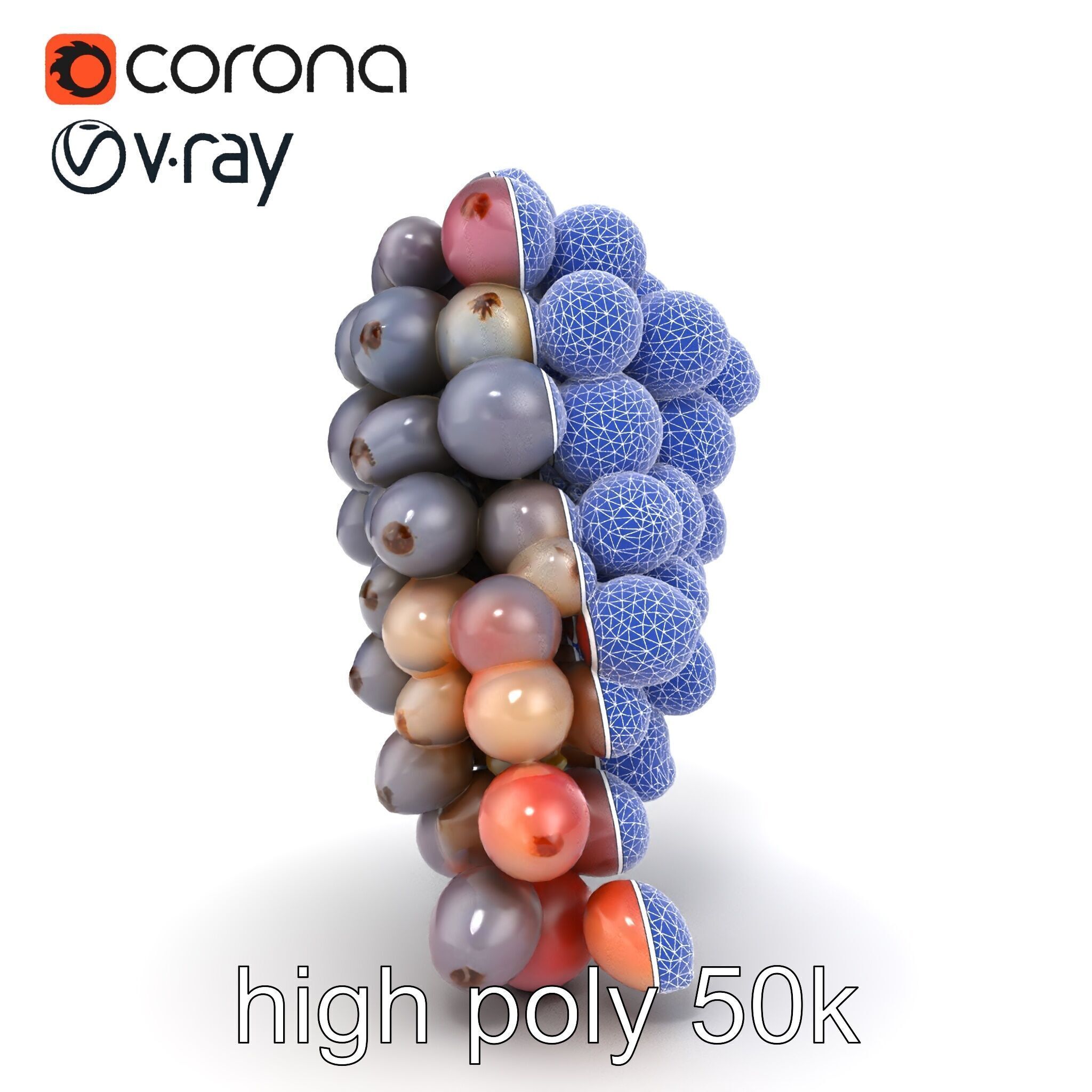 Vineyard Grape Bunch Model Pack with Rustic Appeal Low-poly 3D model_23