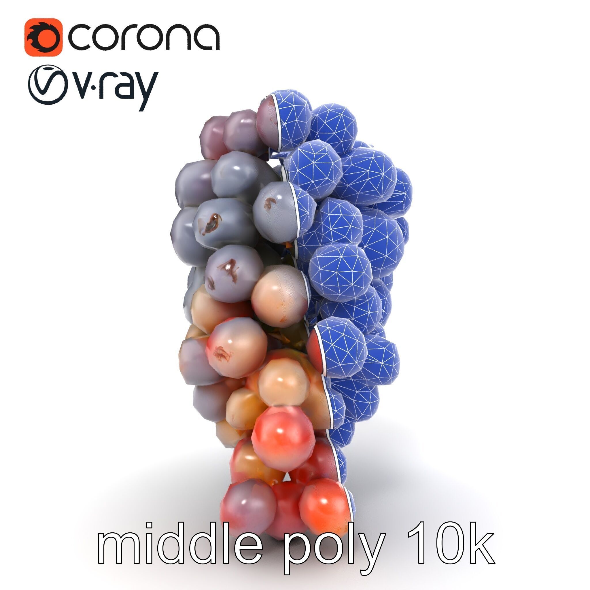 Vineyard Grape Bunch Model Pack with Rustic Appeal Low-poly 3D model_28