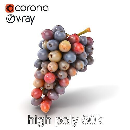Vineyard Grape Bunch Model Pack with Rustic Appeal Low-poly 3D model 3