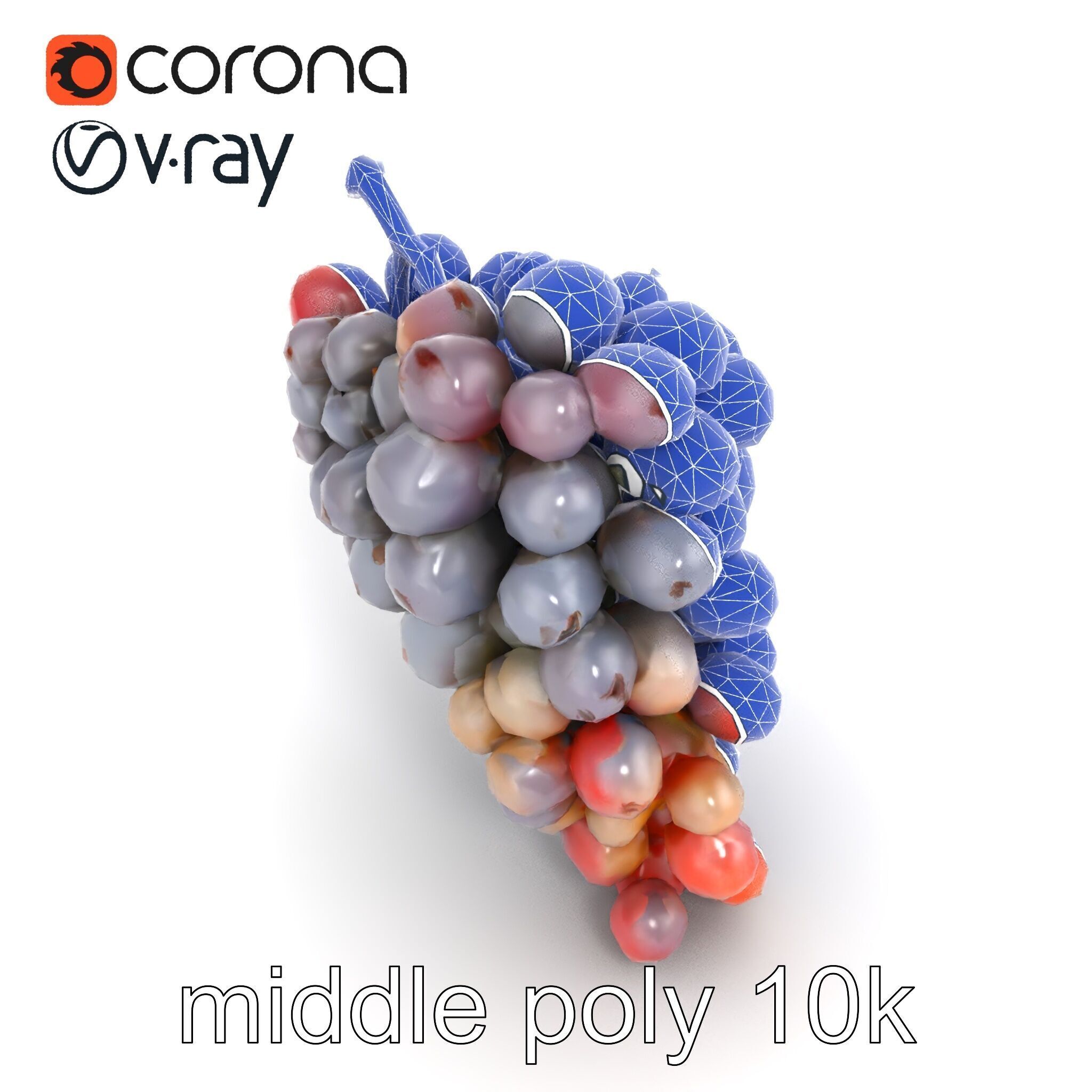 Vineyard Grape Bunch Model Pack with Rustic Appeal Low-poly 3D model_11