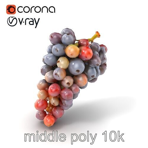 Vineyard Grape Bunch Model Pack with Rustic Appeal Low-poly 3D model