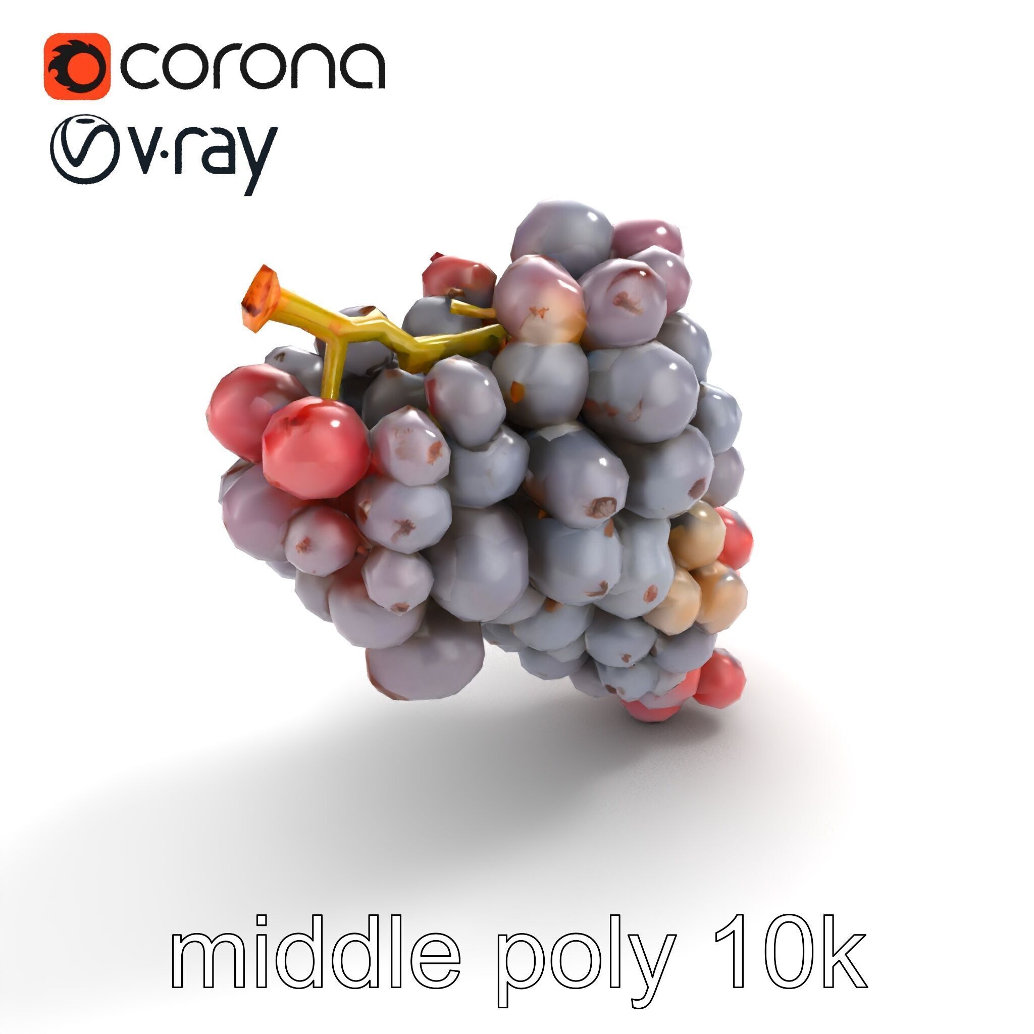 Vineyard Grape Bunch Model Pack with Rustic Appeal Low-poly 3D model_7
