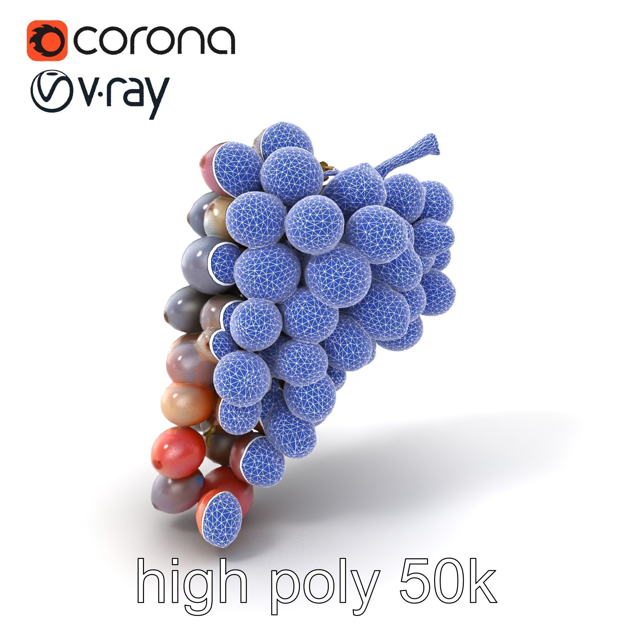 Vineyard Grape Bunch Model Pack with Rustic Appeal Low-poly 3D model_1