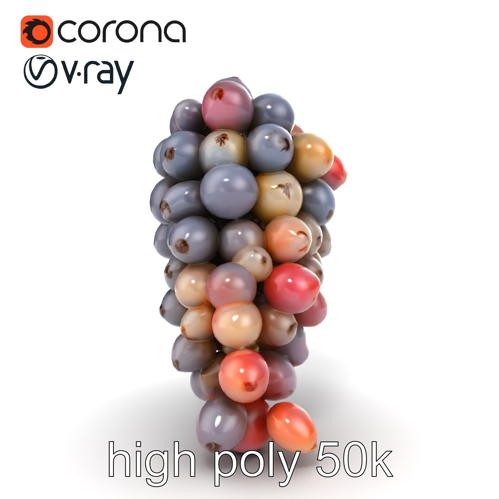 Vineyard Grape Bunch Model Pack with Rustic Appeal Low-poly 3D model_14