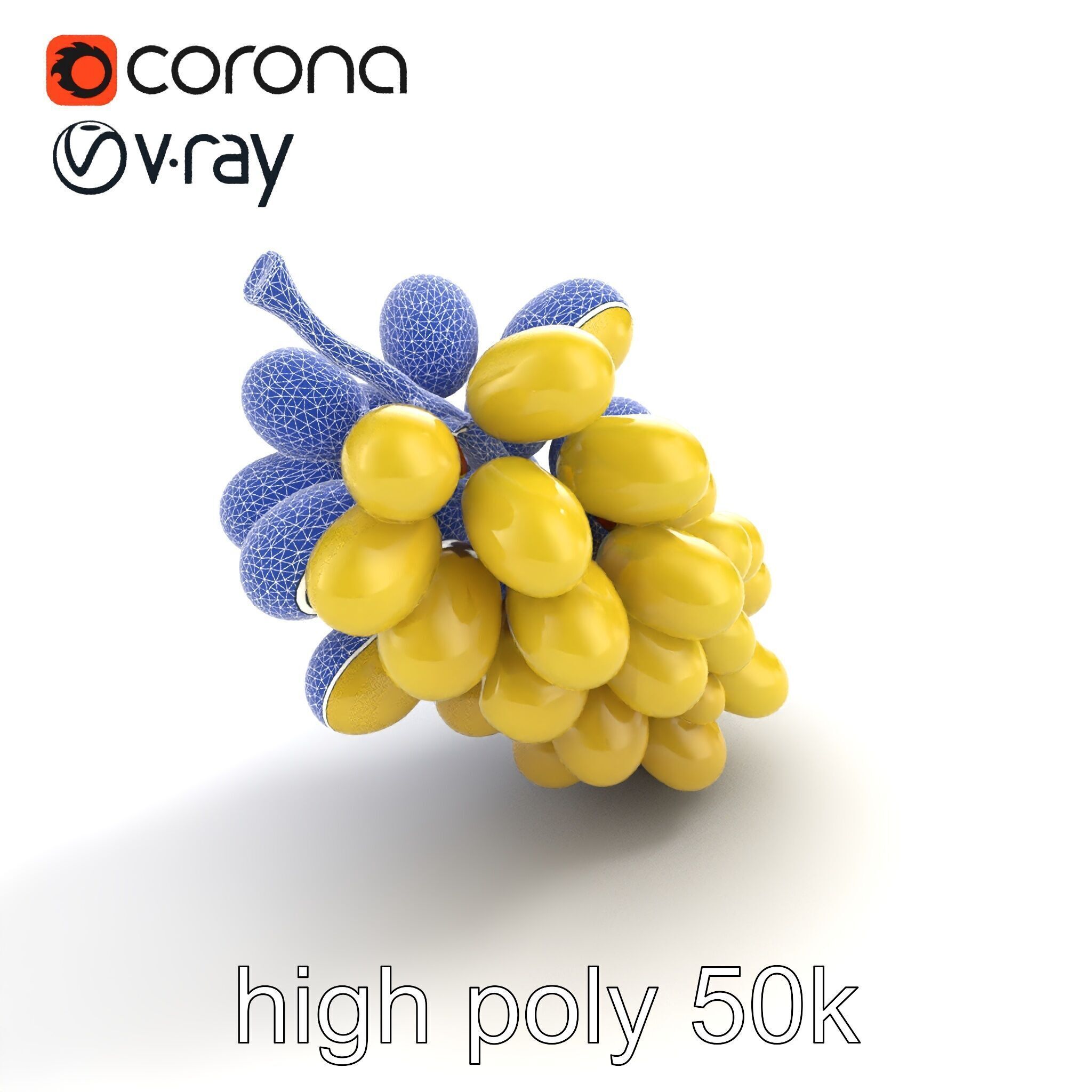 Frosted Grape Bunch Realistic Model Pack Low-poly 3D model_28