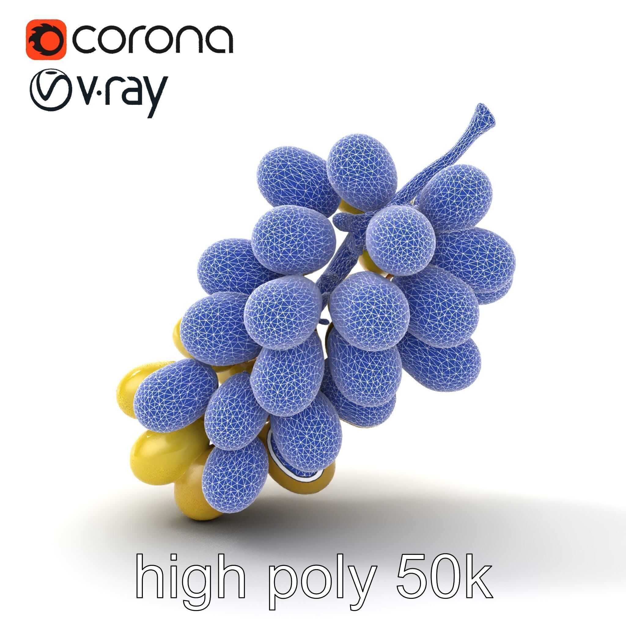 Frosted Grape Bunch Realistic Model Pack Low-poly 3D model_22