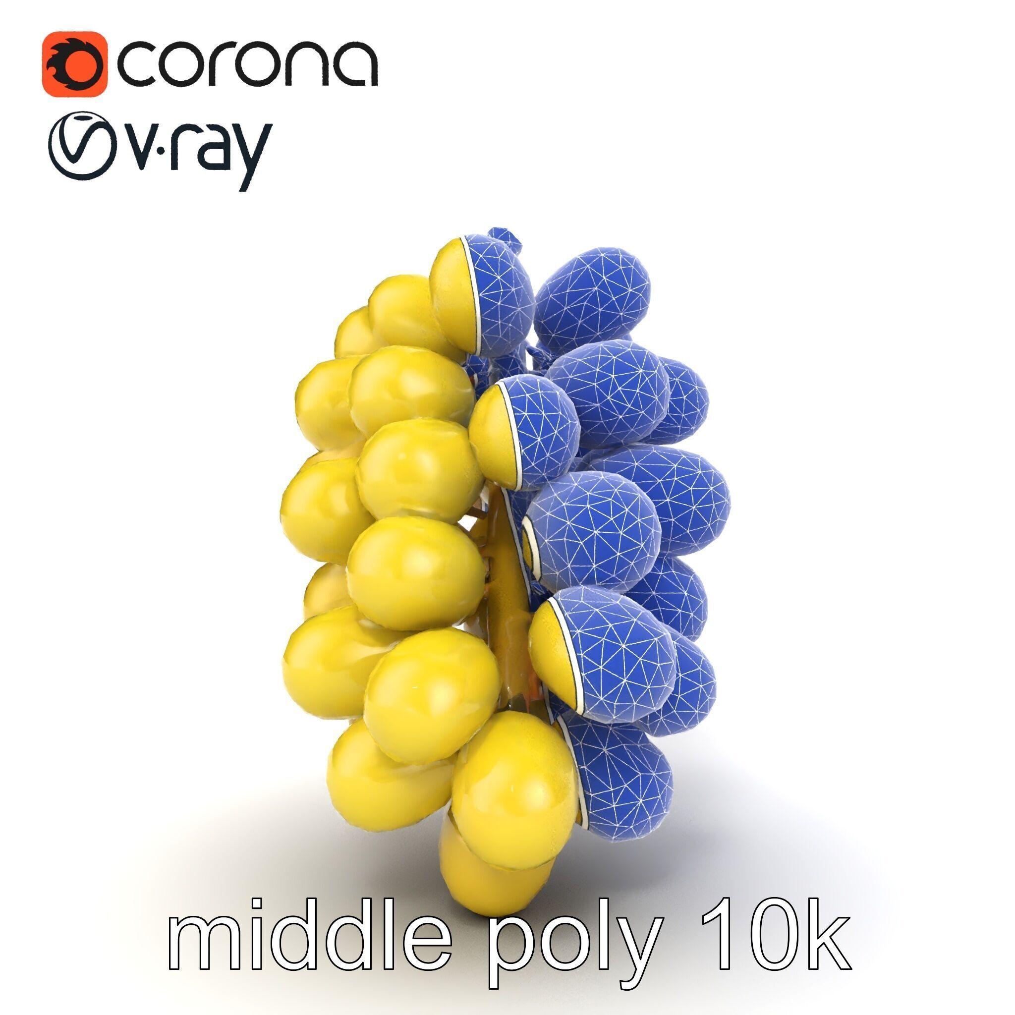 Frosted Grape Bunch Realistic Model Pack Low-poly 3D model_29