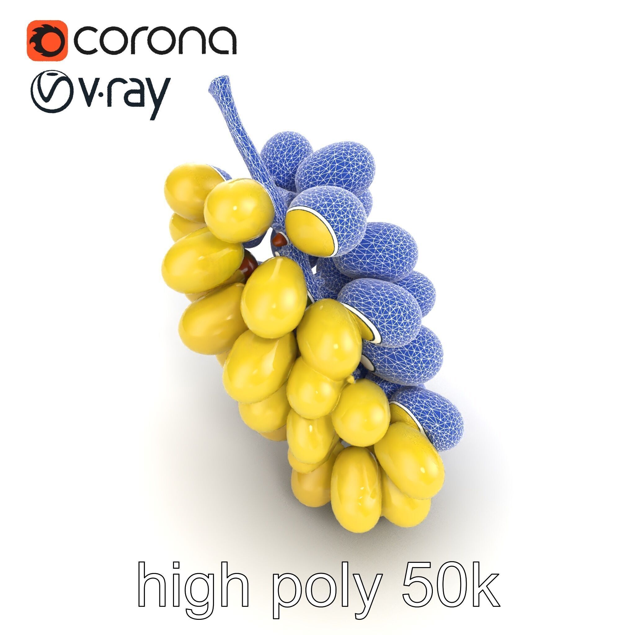 Frosted Grape Bunch Realistic Model Pack Low-poly 3D model_23