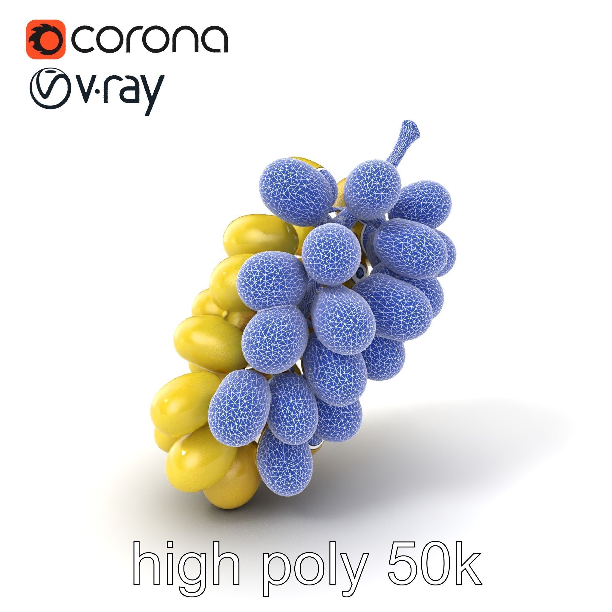 Frosted Grape Bunch Realistic Model Pack Low-poly 3D model_10