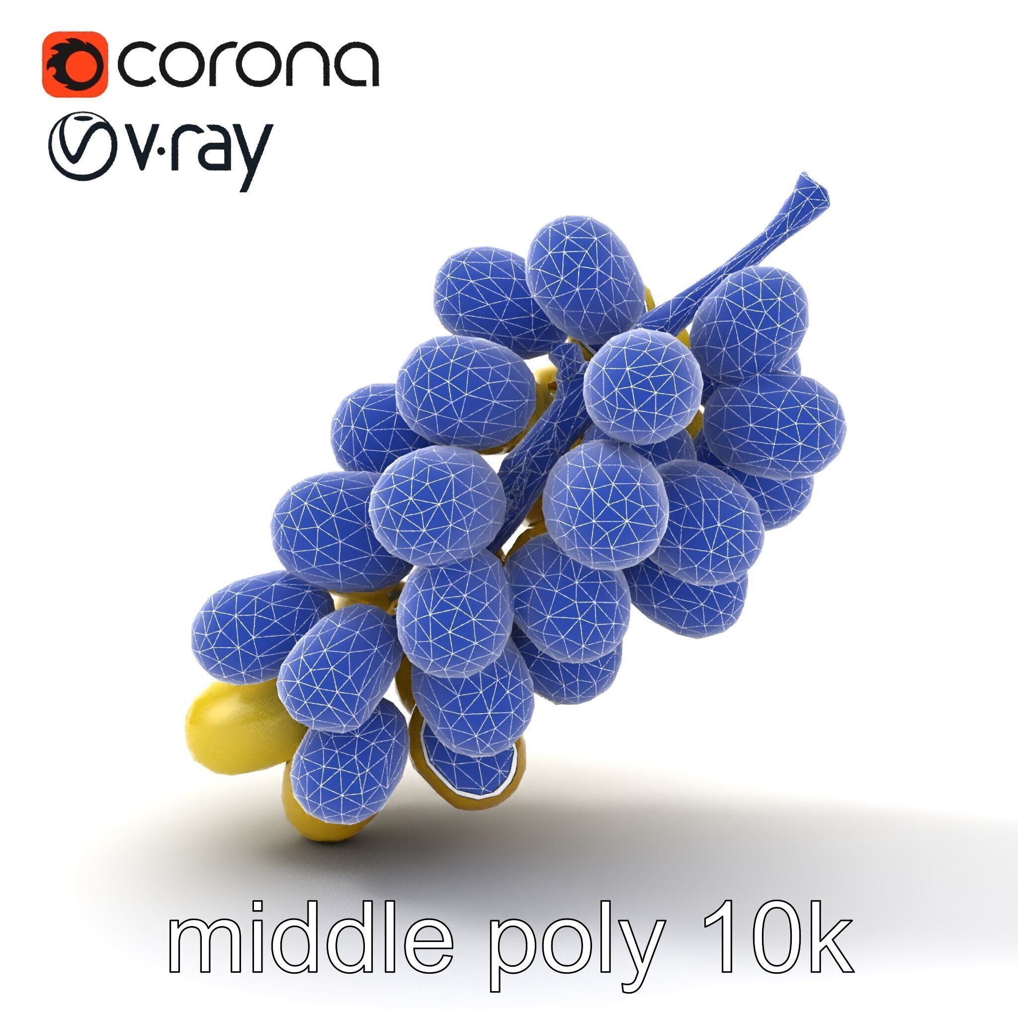 Frosted Grape Bunch Realistic Model Pack Low-poly 3D model_20