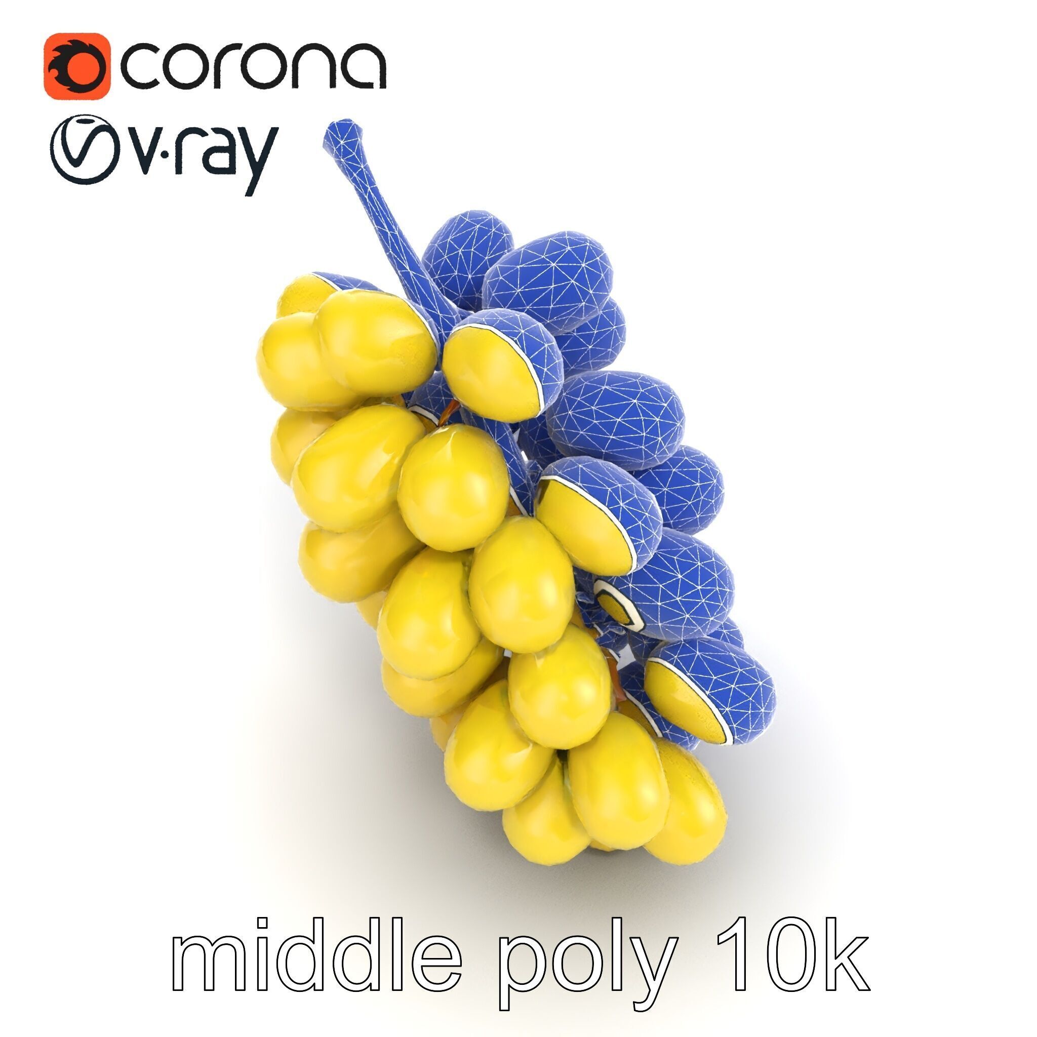 Frosted Grape Bunch Realistic Model Pack Low-poly 3D model_12