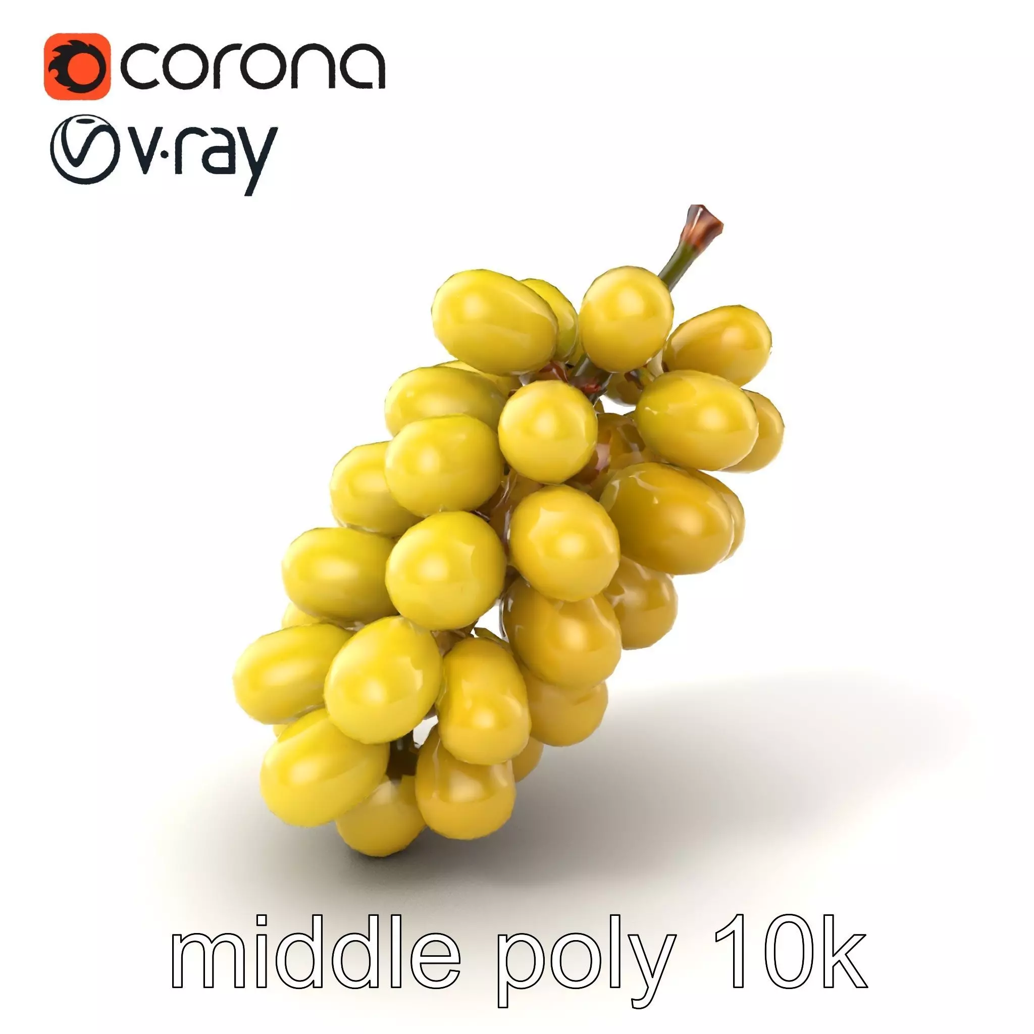 Frosted Grape Bunch Realistic Model Pack Low-poly 3D model_0
