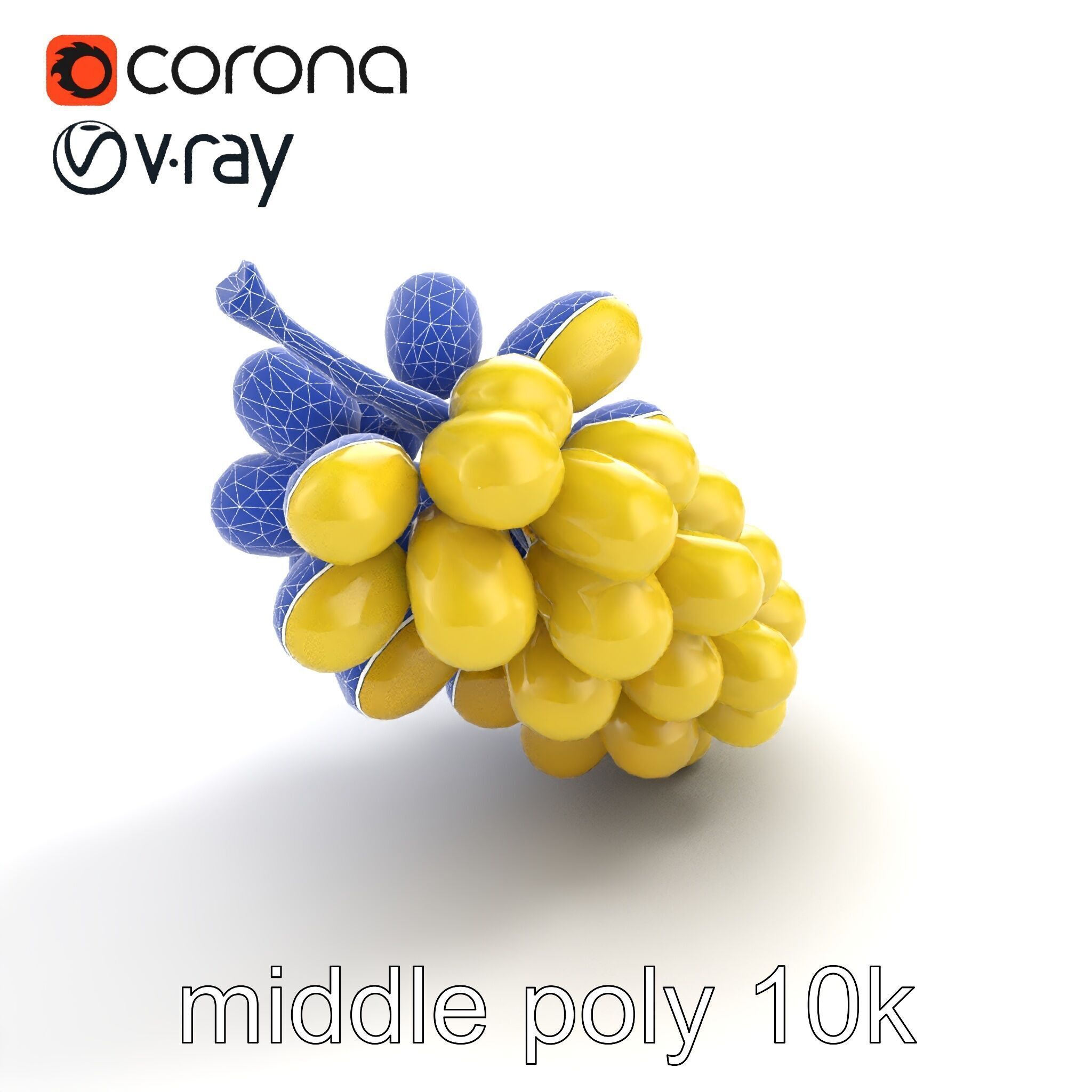 Frosted Grape Bunch Realistic Model Pack Low-poly 3D model_24