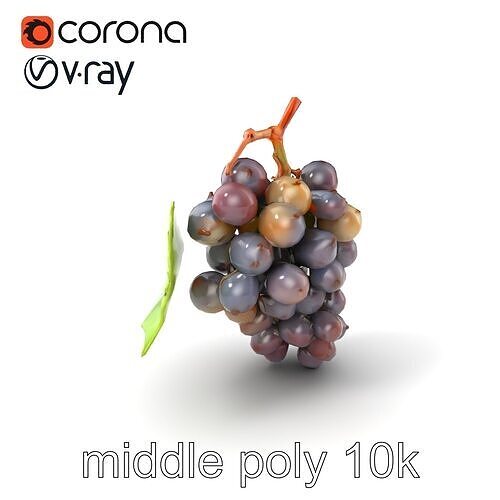 Organic Grape Bunch Natural Imperfections model pack Low-poly 3D model
