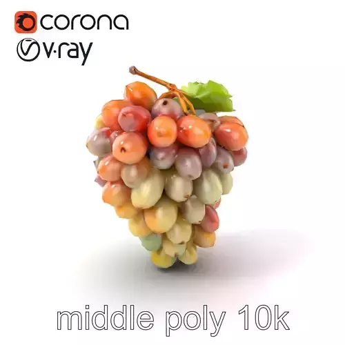 Unripe Grape Bunch Realistic 3D Model Pack