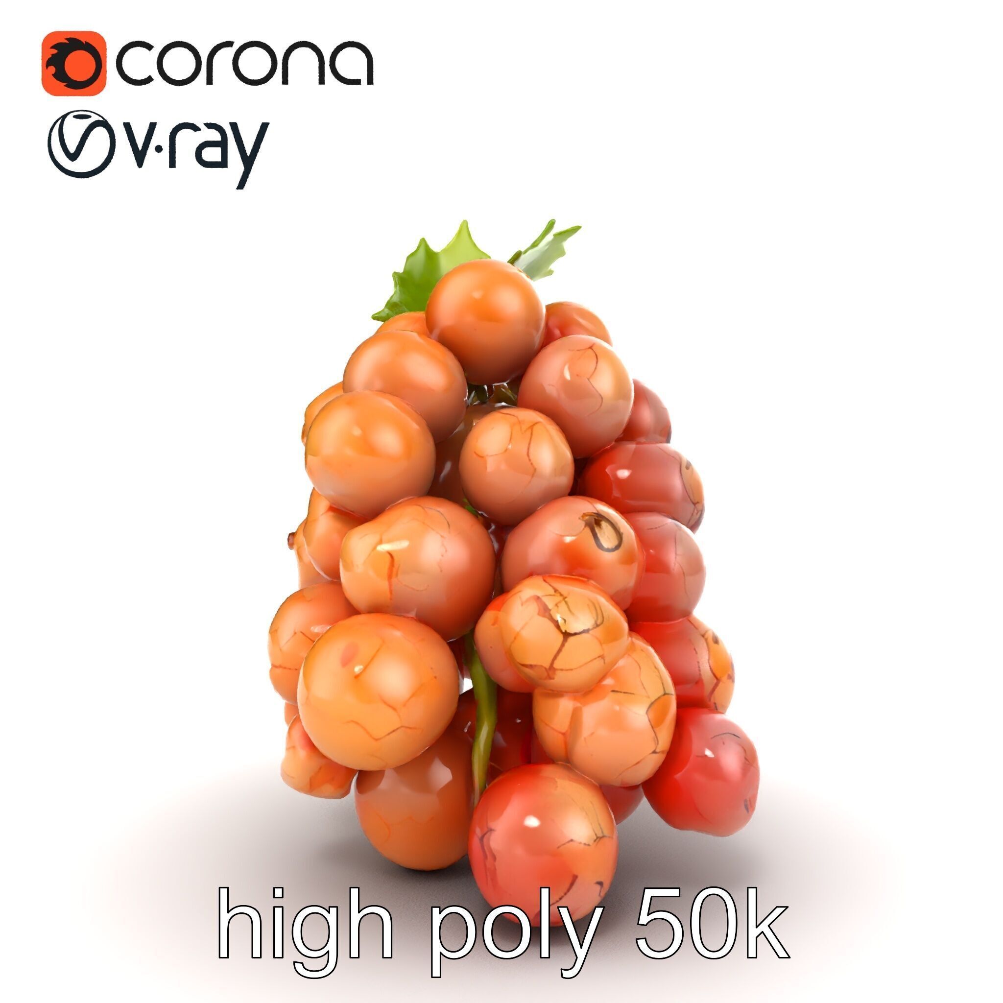 Cracked Grape Bunch Natural Details model pack Low-poly 3D model_28