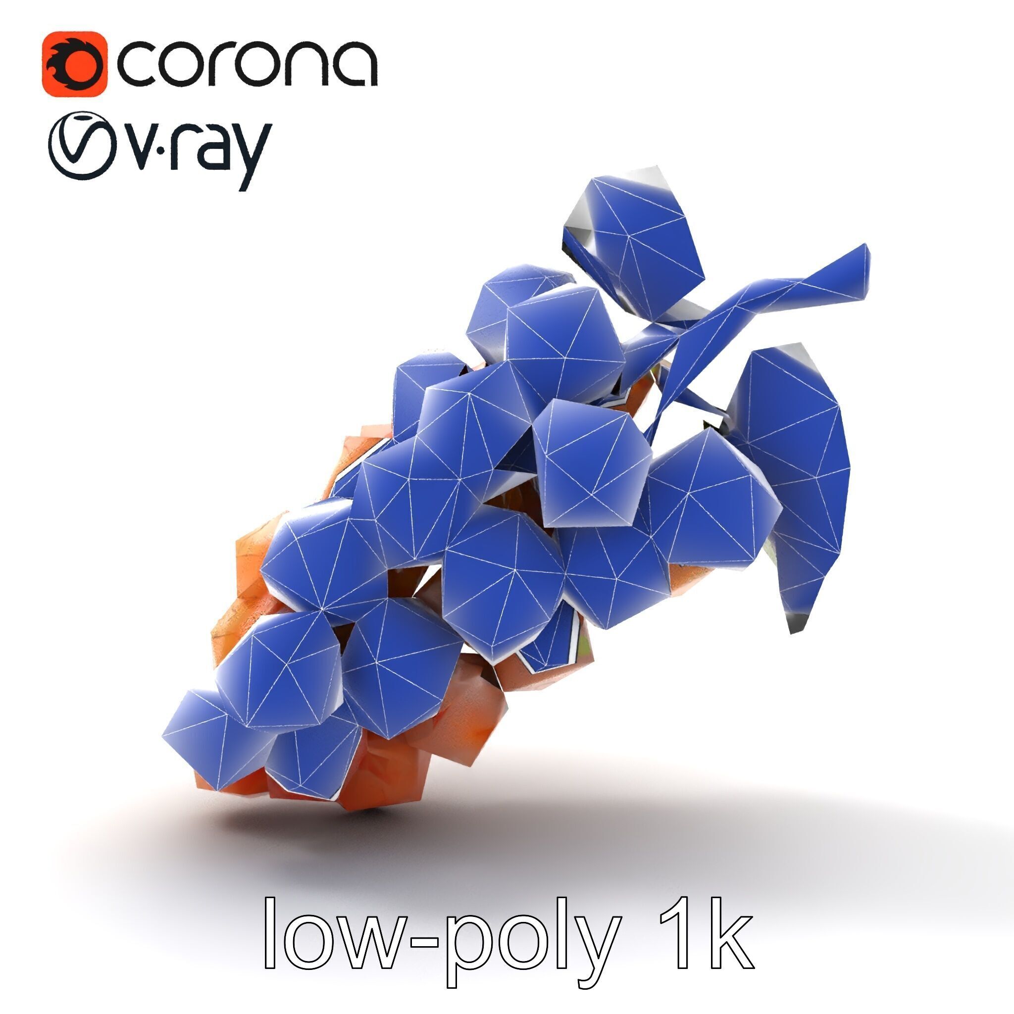 Cracked Grape Bunch Natural Details model pack Low-poly 3D model_26