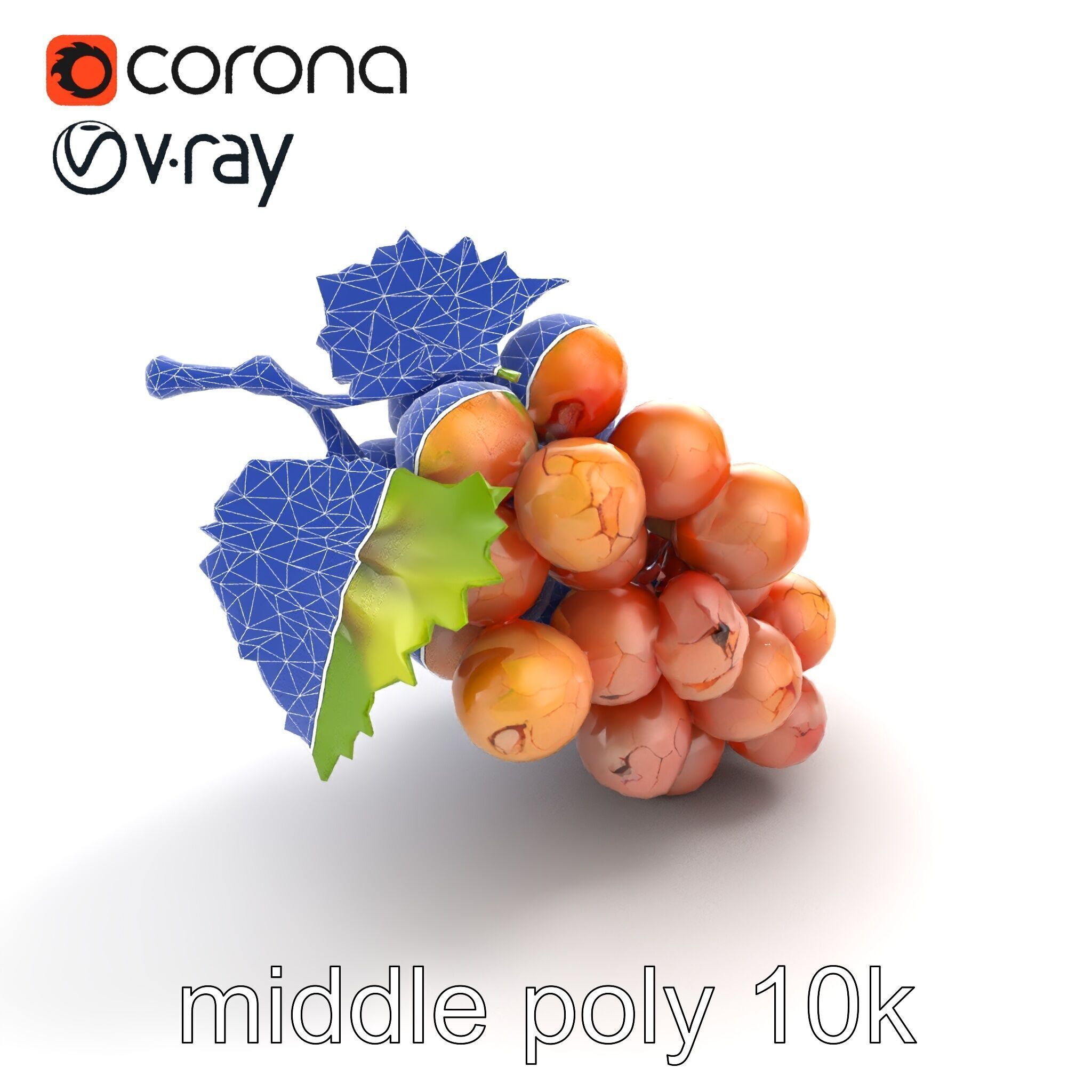 Cracked Grape Bunch Natural Details model pack Low-poly 3D model_15