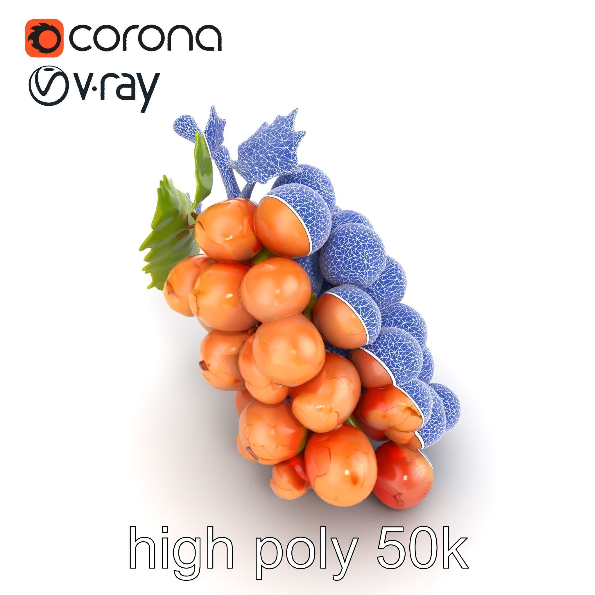 Cracked Grape Bunch Natural Details model pack Low-poly 3D model_19