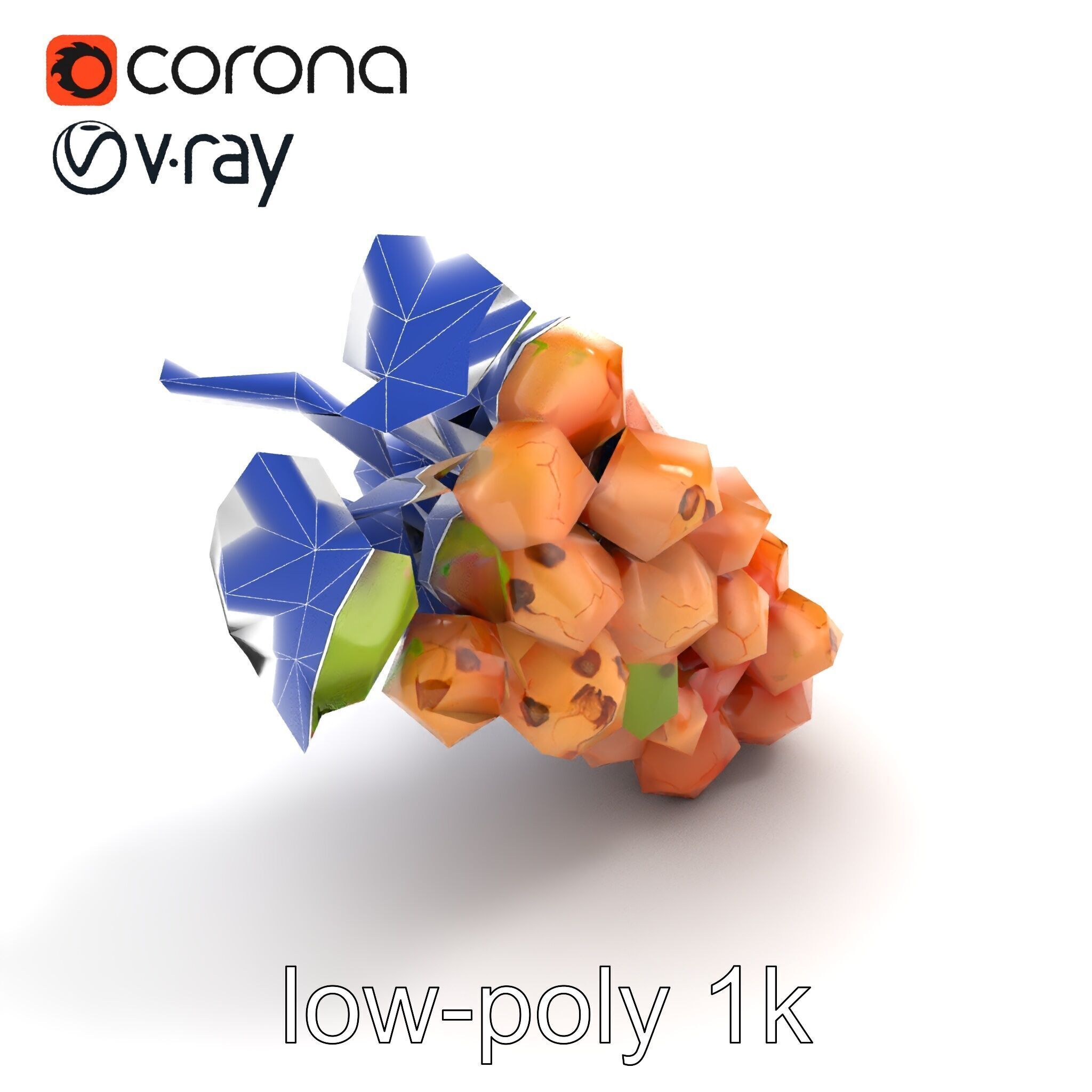 Cracked Grape Bunch Natural Details model pack Low-poly 3D model_11