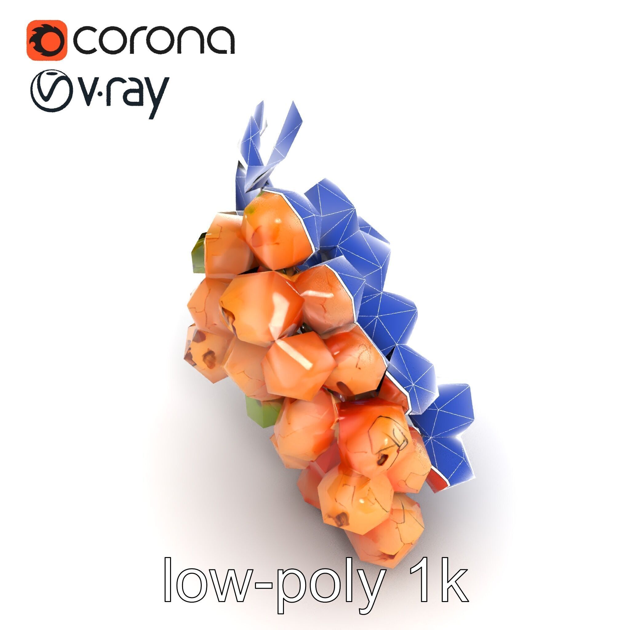 Cracked Grape Bunch Natural Details model pack Low-poly 3D model_16