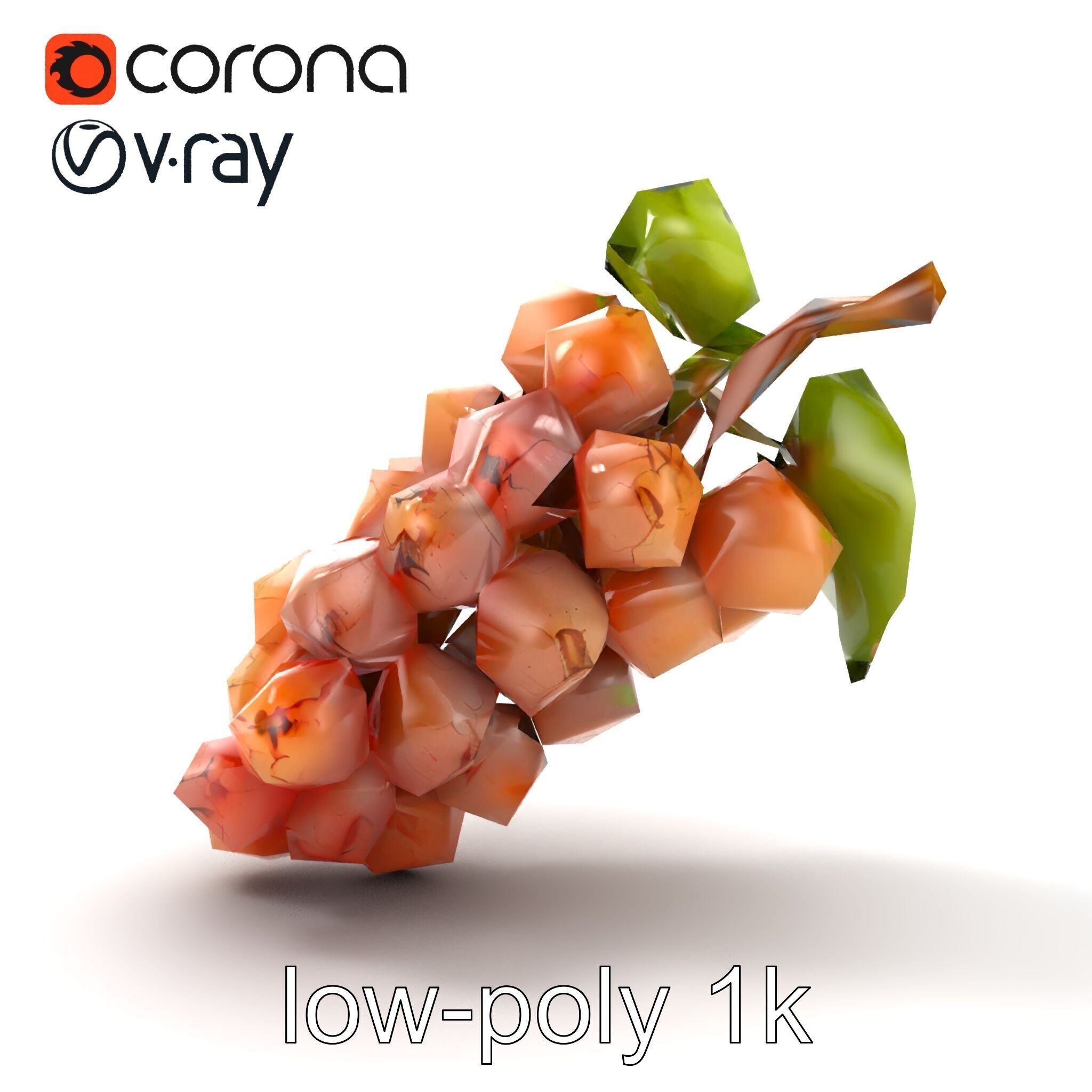 Cracked Grape Bunch Natural Details model pack Low-poly 3D model_23