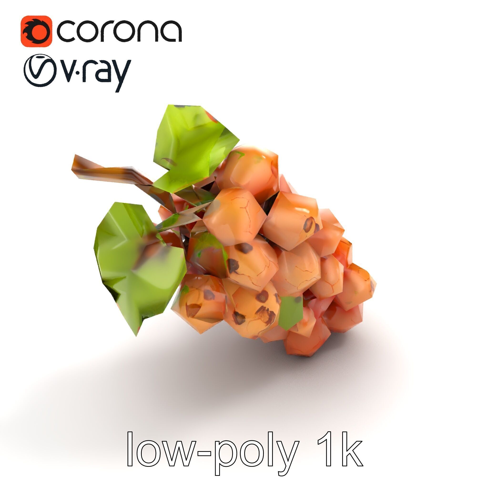 Cracked Grape Bunch Natural Details model pack Low-poly 3D model_9