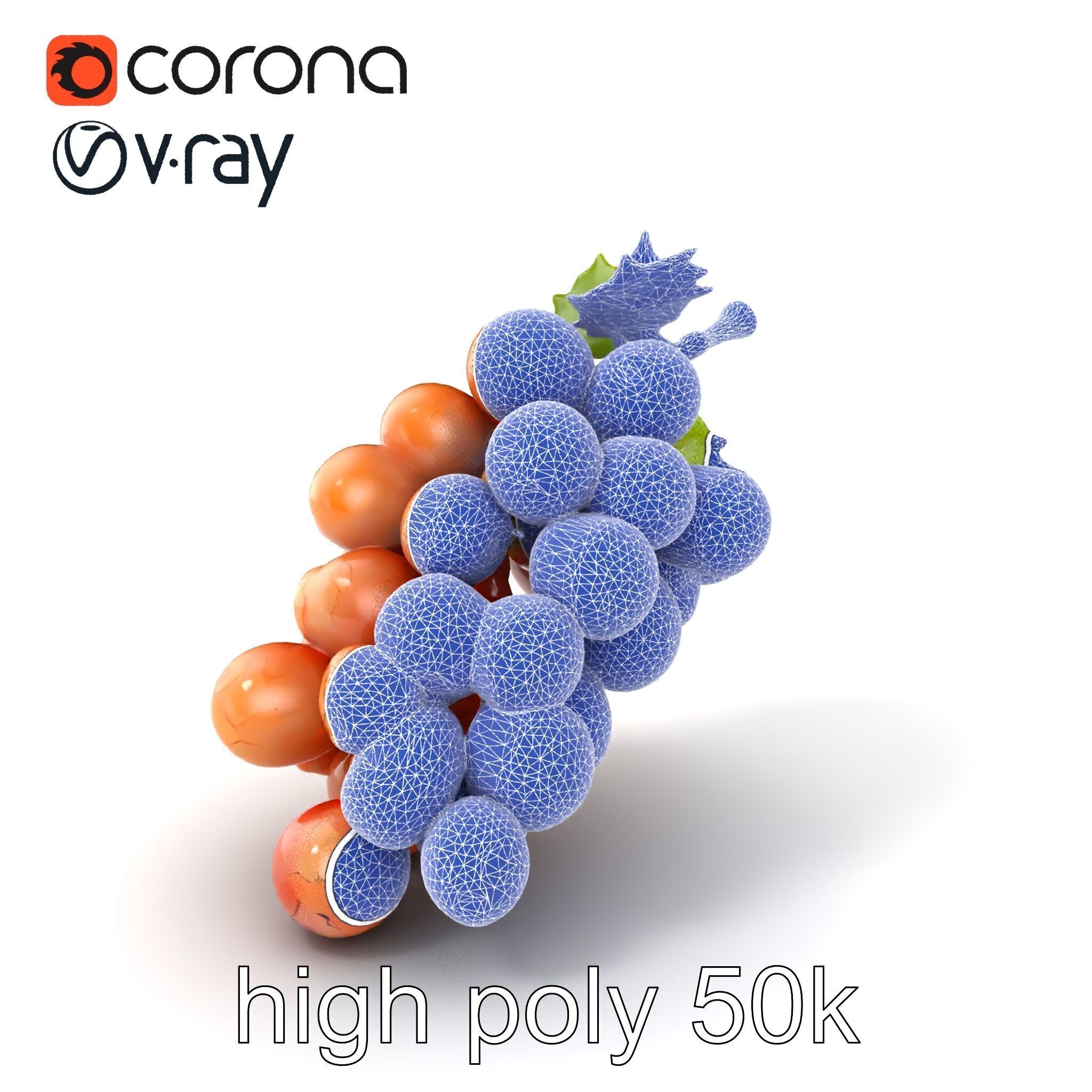 Cracked Grape Bunch Natural Details model pack Low-poly 3D model_10