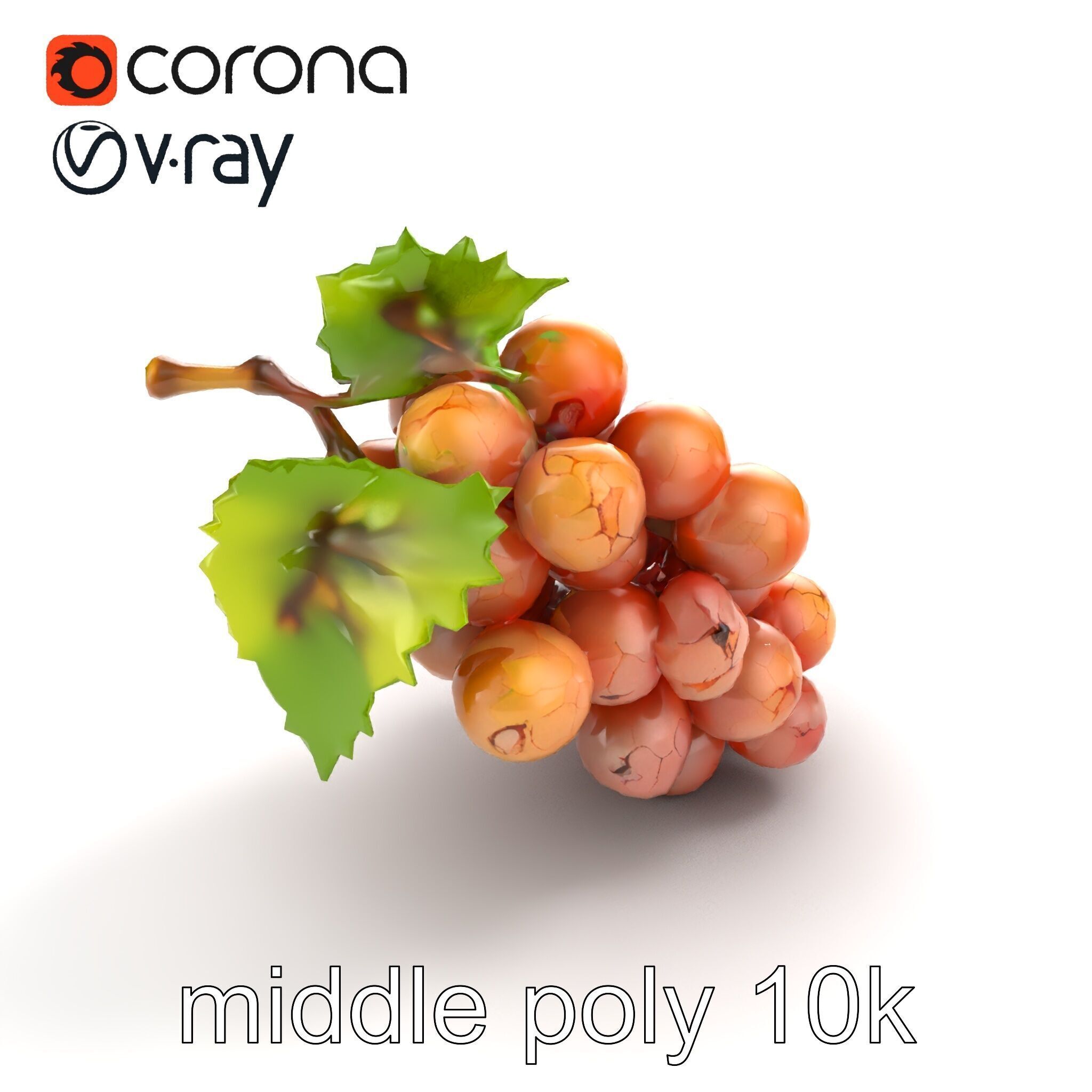 Cracked Grape Bunch Natural Details model pack Low-poly 3D model_8