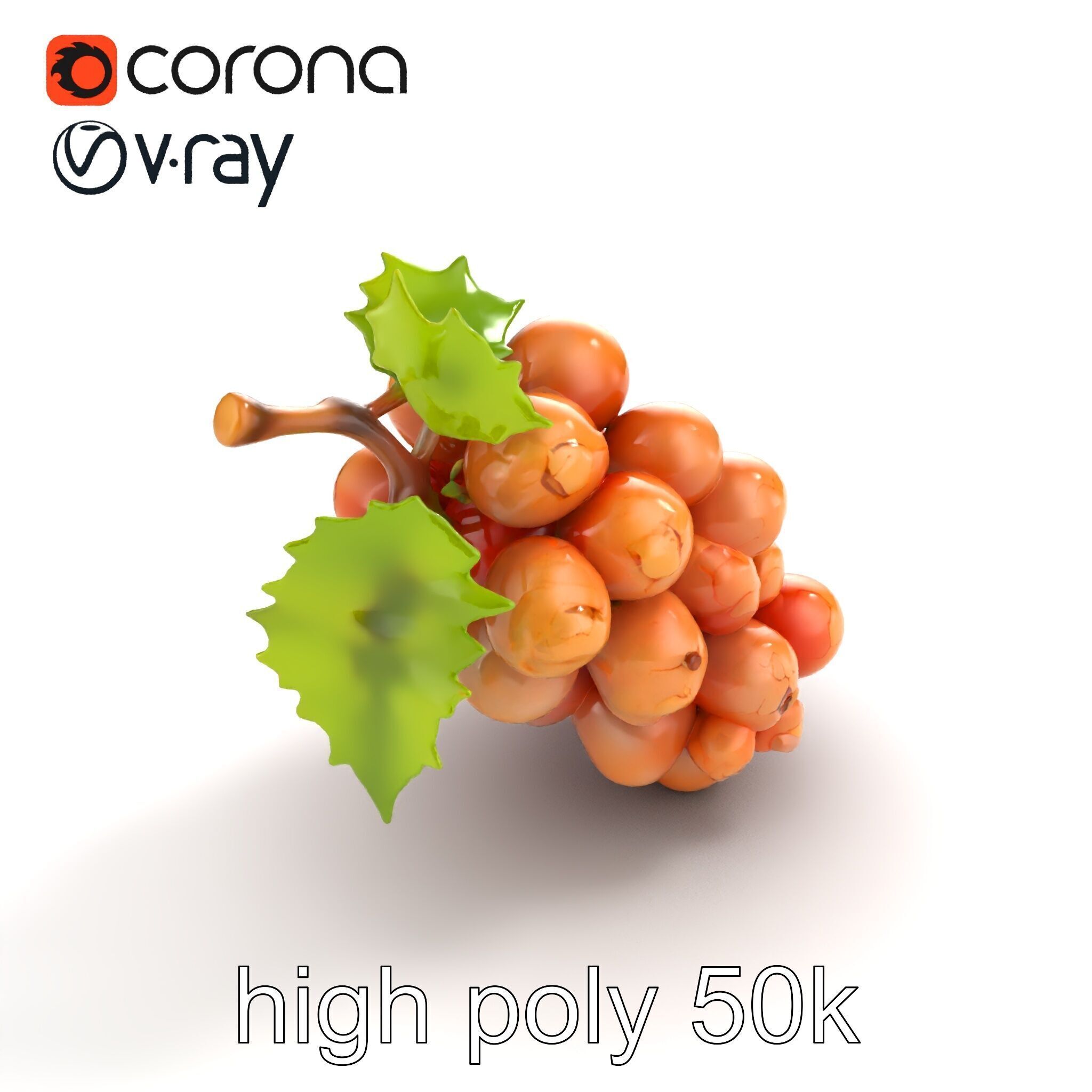 Cracked Grape Bunch Natural Details model pack Low-poly 3D model_32